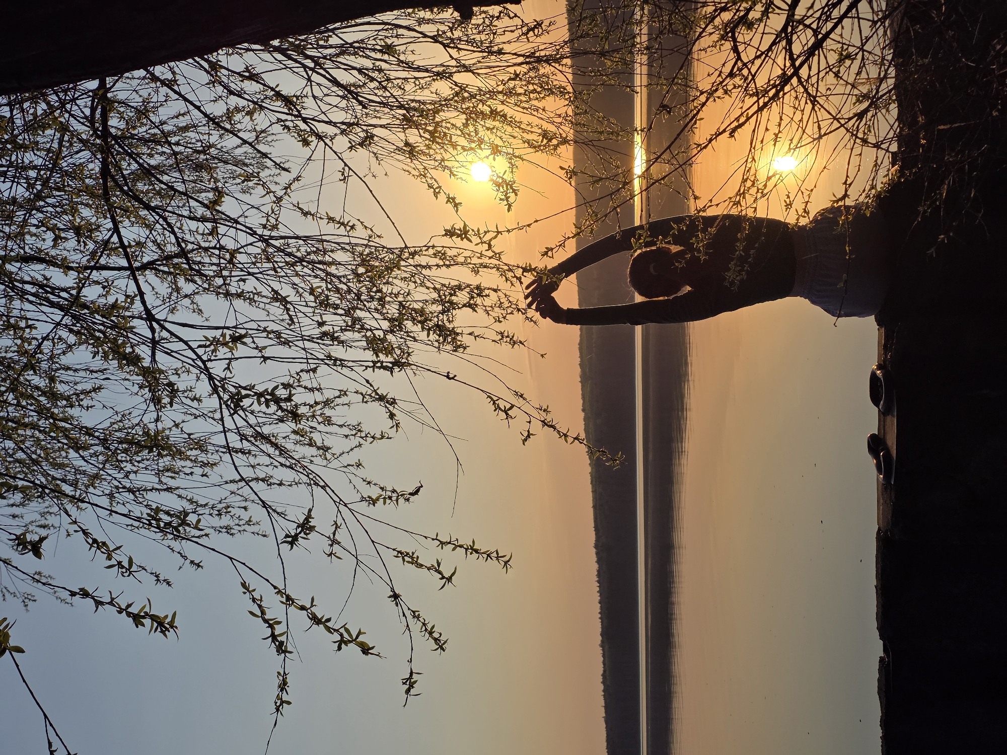 A silhouette of a person stretches by a body of water during a sunset. The location is near the city of Chaikovsky, Russia. A tree with thin branches and small leaves frames the left side of the image, while the person stands on a dark, solid structure on the right. The body of water reflects the colors of the sunset, creating a mirror-like effect in the center of the image.