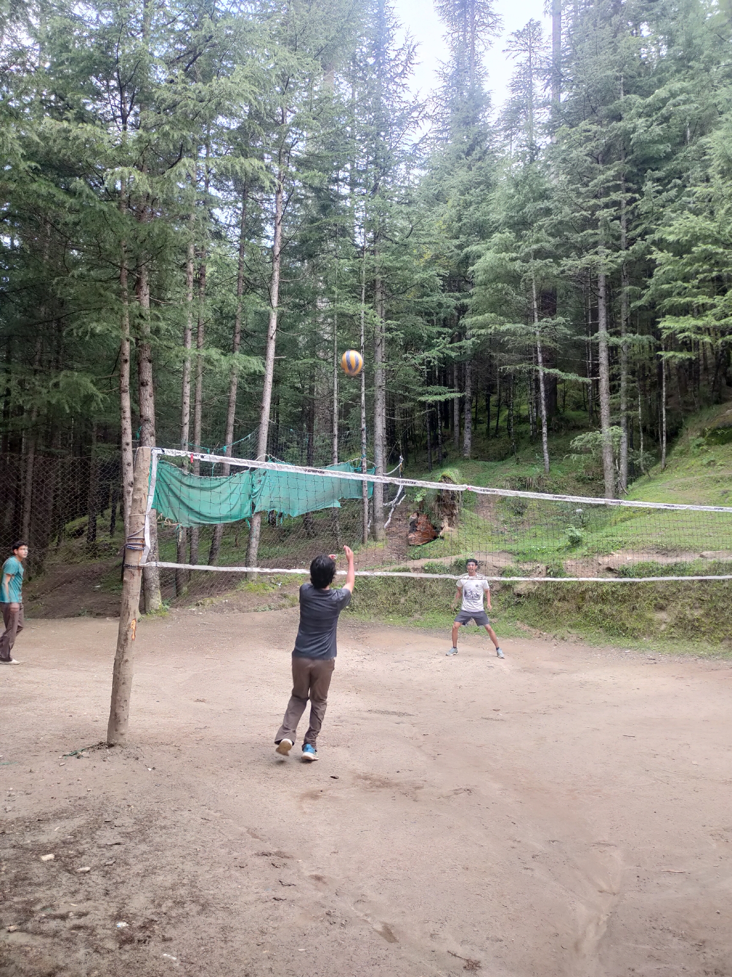 A group of young men are playing volleyball in a clearing surrounded by tall pine trees in Manali, India. The volleyball court is marked by a net, and the ground is dirt. In the foreground, a young man in a dark t-shirt and brown pants is mid-action, reaching up to hit the volleyball. To the left, another young man in a teal t-shirt and brown pants watches the game. Further back, a third young man in a white t-shirt and grey shorts is positioned on the court, ready to play. The trees in the background suggest a natural, possibly mountainous, setting. The lighting indicates it is daytime.