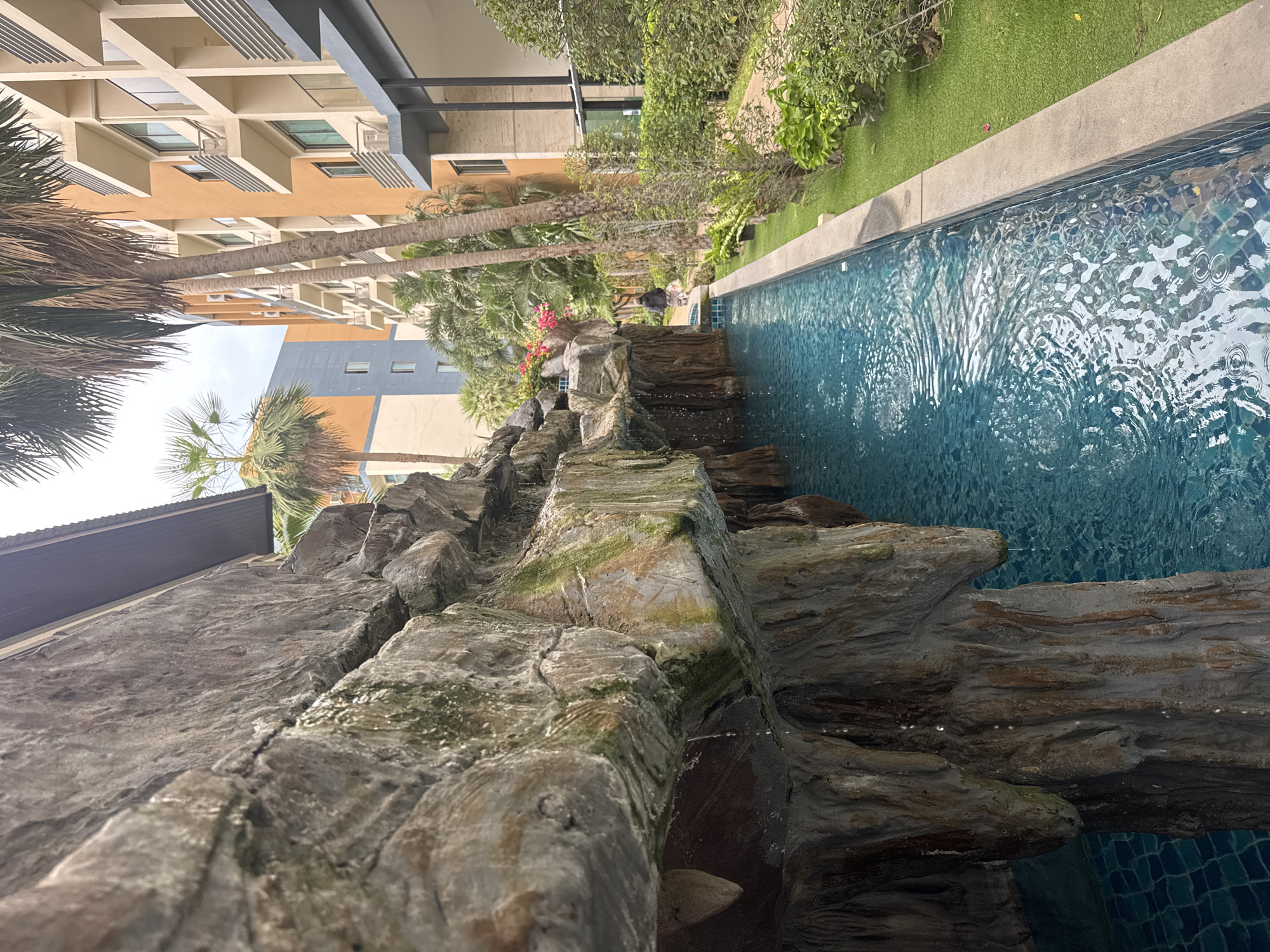 The image portrays a tranquil outdoor scene, likely within a resort or hotel complex in Pattaya City, Thailand. In the foreground, a prominent artificial rock waterfall feature runs vertically, showcasing rough grey and brown textures, with some sections displaying green moss or algae. Water trickles down the rocks, creating splashes and a sense of movement.
Adjacent to the rock feature is a long, narrow swimming pool with blue tiled bottom, its surface covered in ripples and reflecting the bright daytime sky. Beyond the pool, a strip of manicured green grass transitions into lush tropical foliage, including various bushes and numerous tall palm trees. In the mid-ground, nestled amongst the greenery, a faint, dark, human-shaped figure can be glimpsed, possibly a person or a statue.
The background reveals modern multi-story buildings, characteristic of hotel or apartment structures. One building features warm beige and orange facades with distinctive horizontal sun shades above its windows. Another building further back is visible with blue and orange sections. The sky overhead appears bright, suggesting daytime. The overall atmosphere is one of tropical leisure and serenity. No visible text is present in the image.