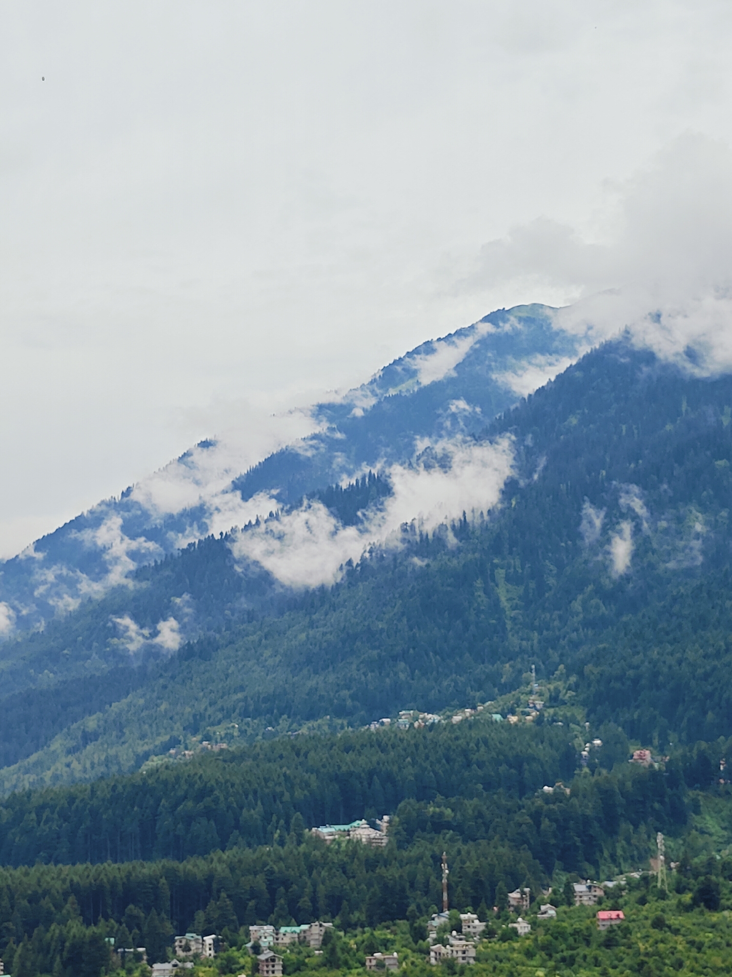 An outdoor, eye-level, full shot depicts a vast, forested mountainside under a hazy, overcast sky. The mountainside is densely packed with evergreen trees, transitioning from dark green at the lower elevations to a lighter, almost blue-green hue at higher altitudes. Wisps of white clouds cling to the slopes, partially obscuring the trees and creating a dramatic, layered effect.
Nestled within the trees, particularly in the lower portions of the image, are scattered buildings that constitute a village. These structures are predominantly residential, with multi-story buildings featuring light-colored facades and green or gray roofs. Some appear to be hotels or guesthouses, indicated by their size and architecture. Small, individual houses are also visible, interspersed among the trees. Telecommunication towers rise above the treeline in a few locations.
The overall impression is one of a serene, natural landscape dotted with human habitation. The location is identified as Vashisht, India, a town known for its natural hot springs and proximity to the Himalayas. The scene captures a moment of quietude, with no people or animals visible. The environment is clearly mountainous and heavily forested, characteristic of a Himalayan region. The time of day is indeterminate due to the overcast conditions, but the light suggests daytime.