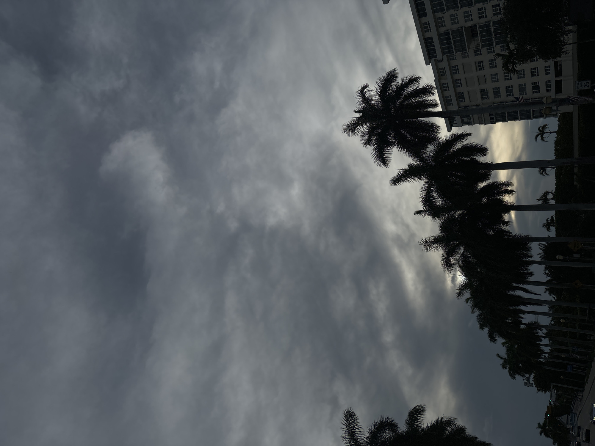 The image depicts a street scene in Delray Beach, Florida, USA, under a heavy, overcast sky. A row of silhouetted palm trees lines the right side of the street, their fronds casting shadows. A multi-story building with visible windows and balconies stands behind the palm trees. The street is visible in the lower left portion of the image with a few vehicles and traffic signals. The overall lighting suggests either early morning or late afternoon, with the sun obscured by clouds.