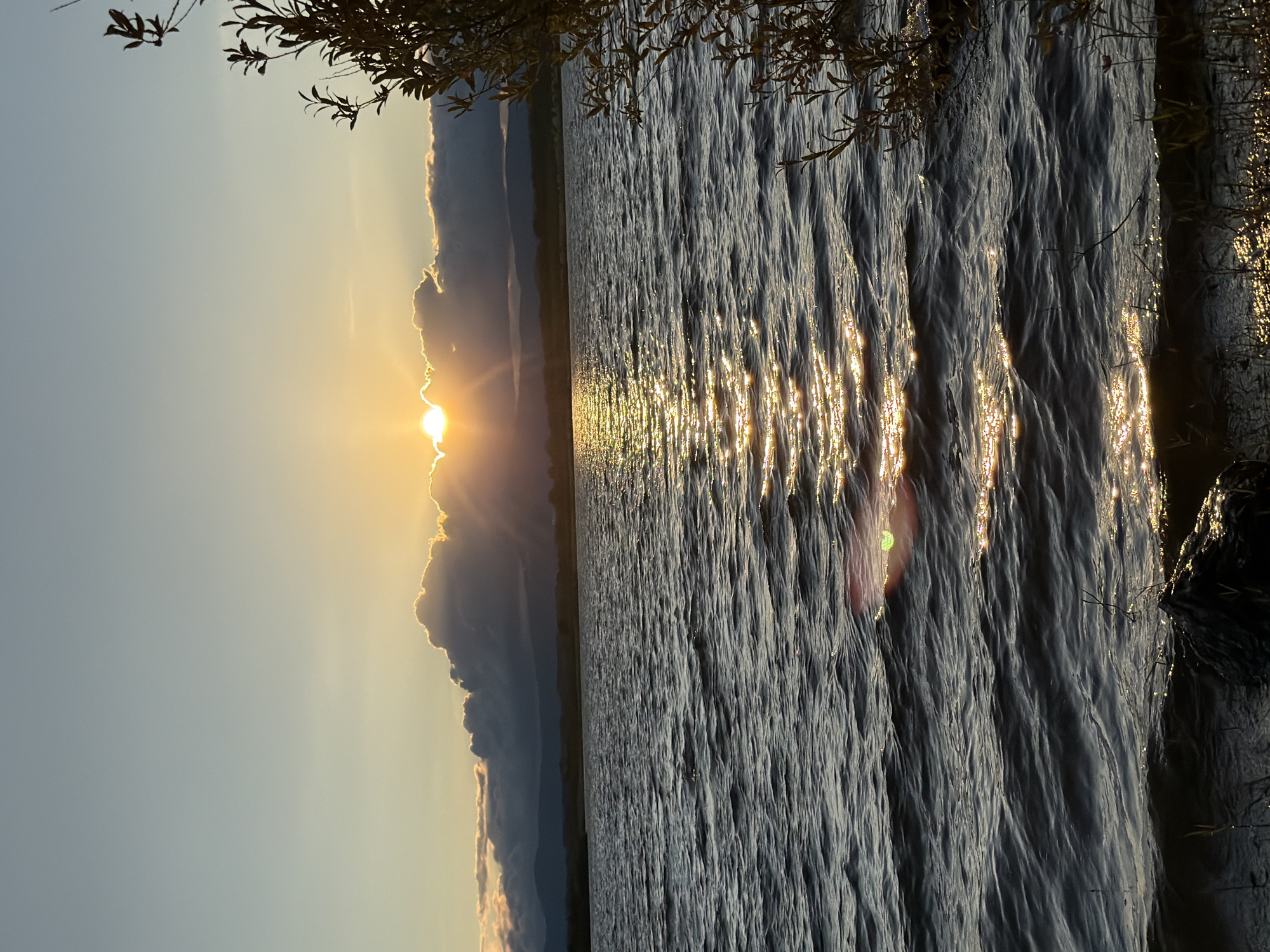 The image depicts a tranquil sunset over a body of water, possibly a lake or reservoir, situated in Castelo Branco, Portugal. The sun is partially obscured by dark, voluminous clouds on the horizon, allowing rays of golden light to pierce through and create a shimmering reflection on the water's surface. The water itself is moderately choppy, with visible waves. In the foreground, a portion of the shoreline is visible, with some dark rocks and sparse vegetation. To the right of the frame, the branches of a deciduous tree with small leaves extend into the scene, silhouetted against the sunset sky. The sky transitions from a pale blue at the top to a warm yellow-orange near the horizon, characteristic of a sunset. No people are present in the image.