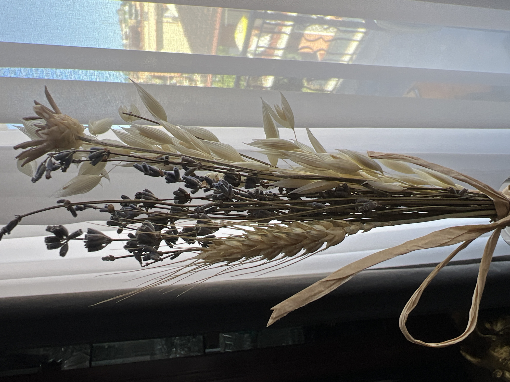 A bouquet of dried flowers and grains, including lavender, wheat, and oat stalks, is displayed in a clear vase. The bouquet is tied with a light brown ribbon that forms a loop. Behind the bouquet, sheer white curtains are drawn, allowing diffused sunlight to enter the room. Through the curtains, a view of buildings and a balcony is visible, suggesting an urban environment. The setting appears to be an indoor space with a window. No people are present in the image, and no specific location in Rome, Italy can be identified.