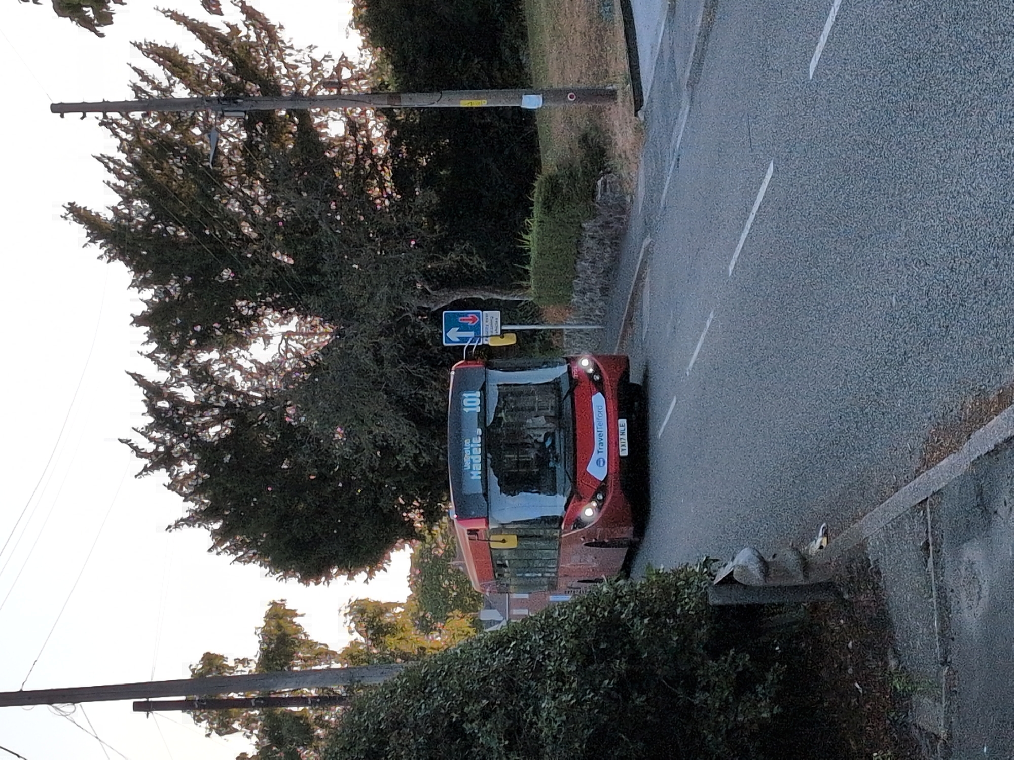 A red single-decker bus with the number 101 displayed on its front is traveling down a paved road in Dawley, United Kingdom. The bus has "Travel Telford" logo on the front. The license plate reads "YX17 NLE". The bus is on the right side of the road, moving away from the camera. On the left side of the road, there is a dense green bush and a concrete post. The road is bordered by a stone wall and more greenery. Overhead, power lines are visible against a bright sky. Trees line the background of the scene.