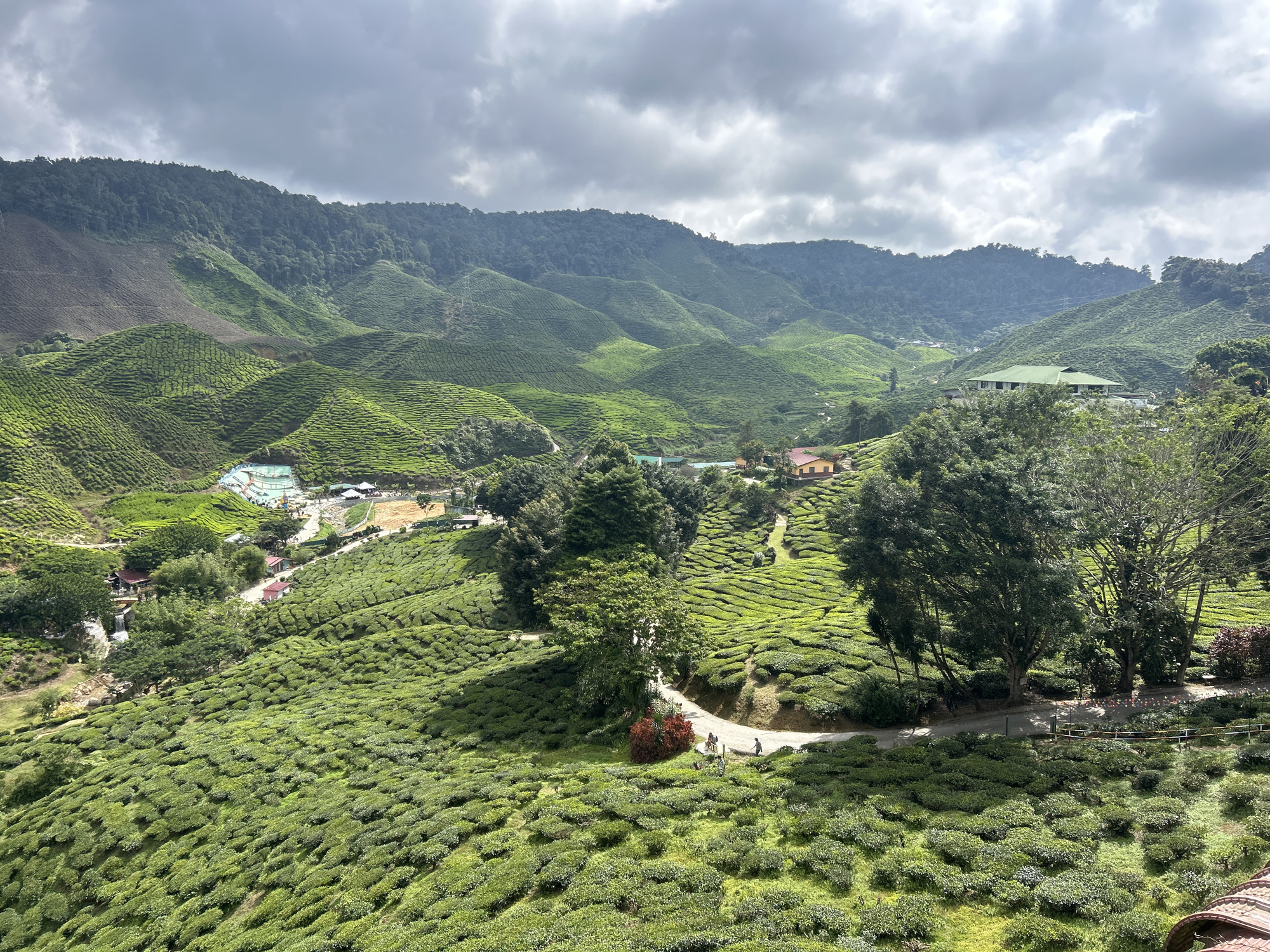 This image captures a wide panoramic view of the rolling hills of a tea plantation, likely in or near Tanah Rata, Malaysia. The landscape is dominated by vibrant green tea bushes meticulously cultivated on undulating slopes that stretch as far as the eye can see. These terraced fields create a mesmerizing pattern of light and shadow, especially under the overcast sky with patches of sunlight.
In the mid-ground, a winding road cuts through the plantation, with a few individuals visible walking along it. To the left of the road, a cluster of buildings, possibly part of a tourist facility or processing plant, is visible. A body of water, perhaps a pond or reservoir, is also present in this area, surrounded by smaller structures. Further into the distance, a larger building with a distinctive green roof stands on a hillside, hinting at a resort or plantation headquarters. The background is filled with lush, forested mountains, their peaks partially obscured by the dramatic, cloudy sky. The overall impression is one of serene, agricultural beauty and a vast, natural landscape.