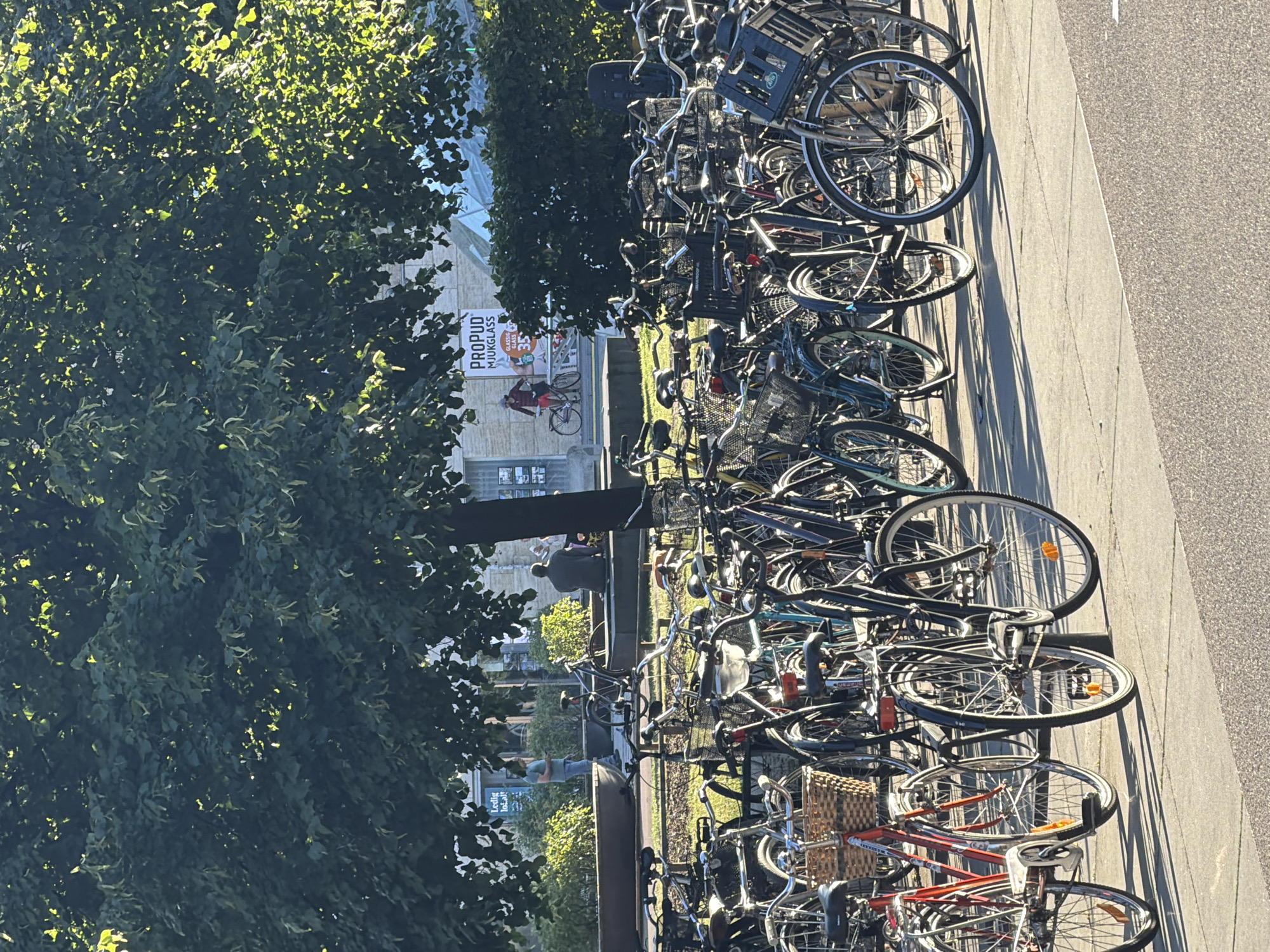 The image shows a bicycle parking area in Malmö, Sweden, likely near the Malmö Central Station, given the dense concentration of bicycles and the urban environment. In the foreground, numerous parked bicycles are visible, with some featuring baskets and racks. The bicycles are primarily of the upright, commuter style.
Behind the bicycles, a pathway is paved with concrete slabs, and sunlight casts long shadows. Beyond the pathway, a low planter box with green foliage is situated. Further back, two individuals are seated on a bench under the shade of a large, leafy tree. To the right of the tree, a building with a pale facade is visible, featuring windows and some posters. One poster, partially obscured by the tree, displays text including "PROPUD" and "MJUKGLASS".
In the middle ground, another person is standing, looking at their phone, near the planter box. The overall scene suggests a public urban space where cycling is a common mode of transportation. The lighting indicates it is daytime, likely morning or afternoon, given the angle of the sun and the resulting shadows. The environment appears clean and well-maintained.