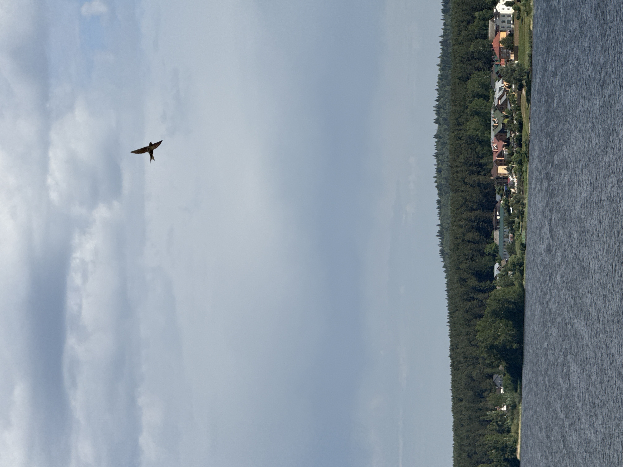 A daytime shot shows a body of water adjacent to a dense forest and some buildings along the shoreline, potentially a lake or river. A bird is flying in the sky above. The location is potentially in Votkinsk, Russia.