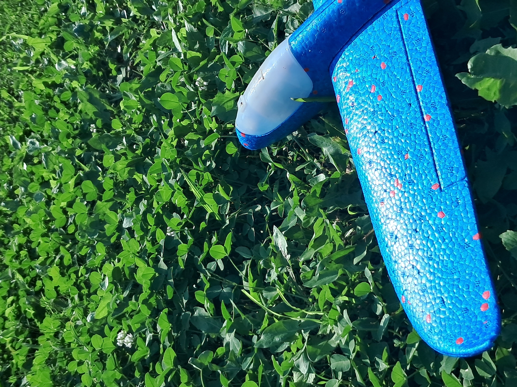 A close-up, high-angle outdoor shot shows a blue toy airplane resting on a bed of lush green clover and grass. The airplane's wings are partially visible, displaying a textured blue surface with scattered red polka dots. The nose of the airplane is white with blue accents. The background is filled with dense green foliage, with a few small white flowers interspersed. The lighting suggests it is daytime, with sunlight casting shadows on the plants. The scene appears to be in a natural outdoor setting, possibly a park or backyard. There is no indication of any people or ongoing activity. The location is identified as Ivanivka, Ukraine.