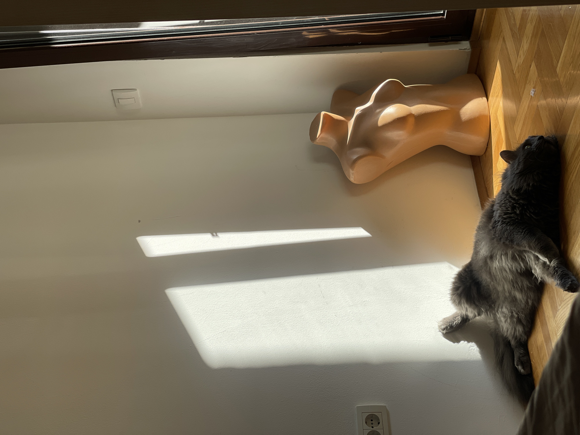 Indoor scene. A gray long-haired cat rests on a wood floor near a peach-colored mannequin torso. A white wall is behind the mannequin. A shadow is cast on the wall. A light switch is above the shadow and an outlet is below. Location not discernible from image.