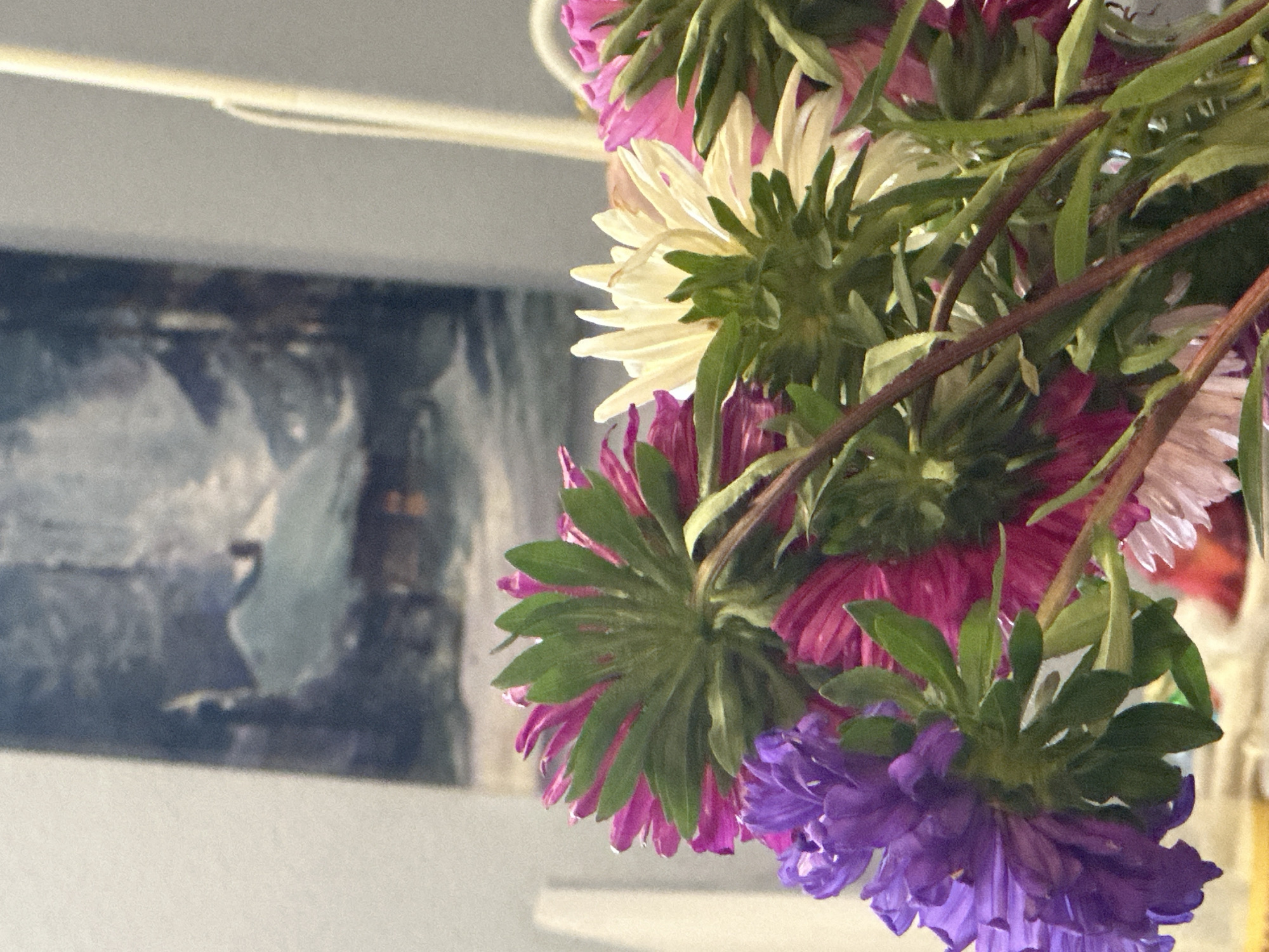 The image shows a close-up view of a bouquet of asters with various colors, including purple, pink, and white. The flowers are in the foreground, and their stems and leaves are visible. In the background, there is a blurred painting of a snow-covered cabin in a forest setting, possibly a landscape painting. The overall lighting is soft, and the focus is on the flowers. The image does not contain any information about the city of Nevinnomyssk, Russia.