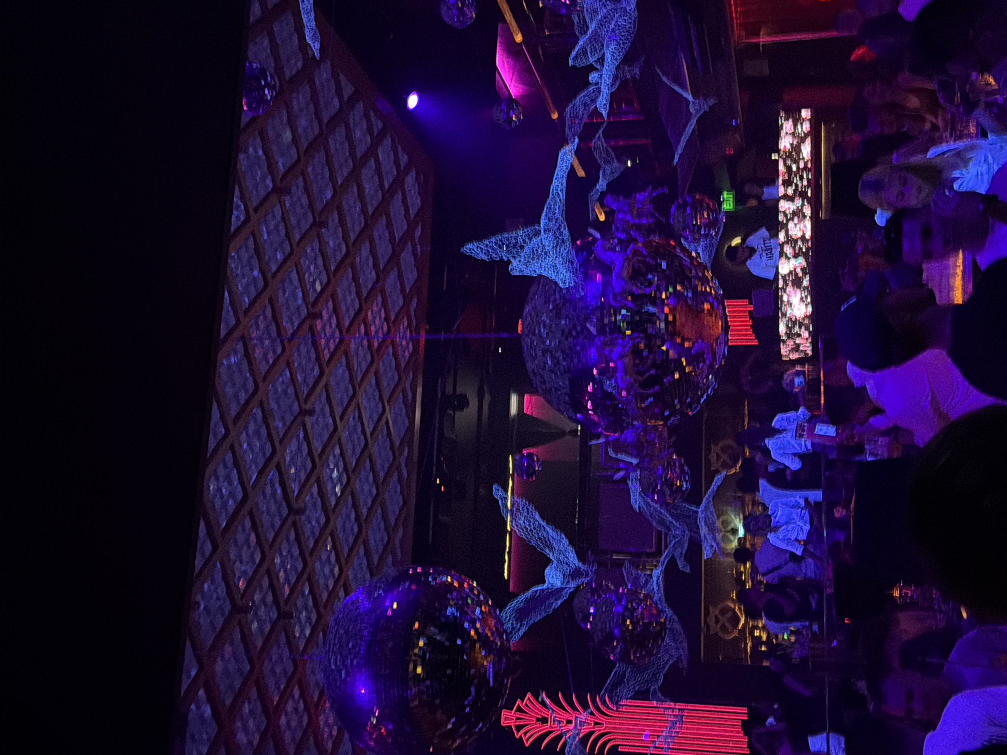 The image shows the interior of a nightclub. The location is likely in Sofia, Bulgaria, but it is not possible to confirm this from the image alone.
The scene is dimly lit with blue and purple light. The focus is on disco balls and decorative structures. There are wire mesh decorations. There are some people in the image, but they are blurry and indistinguishable. The environment appears to be a crowded nightlife setting with partygoers.