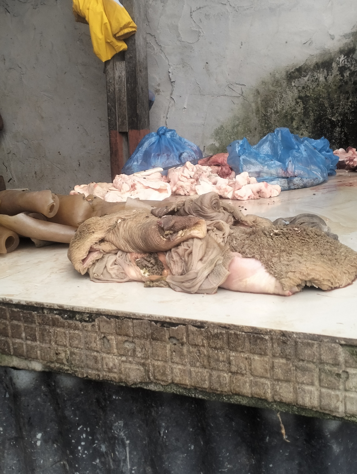 The image depicts a stall likely in a market in Dumai City, Indonesia, displaying raw meat and animal intestines. In the foreground, a large pile of animal intestines, some with a rough, textured surface, is laid out on a white surface. To the left, several hollow, tubular animal parts, possibly also intestines or esophagus, are arranged. In the background, more raw meat, some of it appearing pale pink and fatty, is piled up, with two blue plastic bags visible among it. The wall behind the stall is rough and appears to have some dark, possibly moldy, patches. A yellow piece of fabric is draped over a wooden support. The overall impression is of a food preparation or selling area, with the focus on unprocessed animal products.