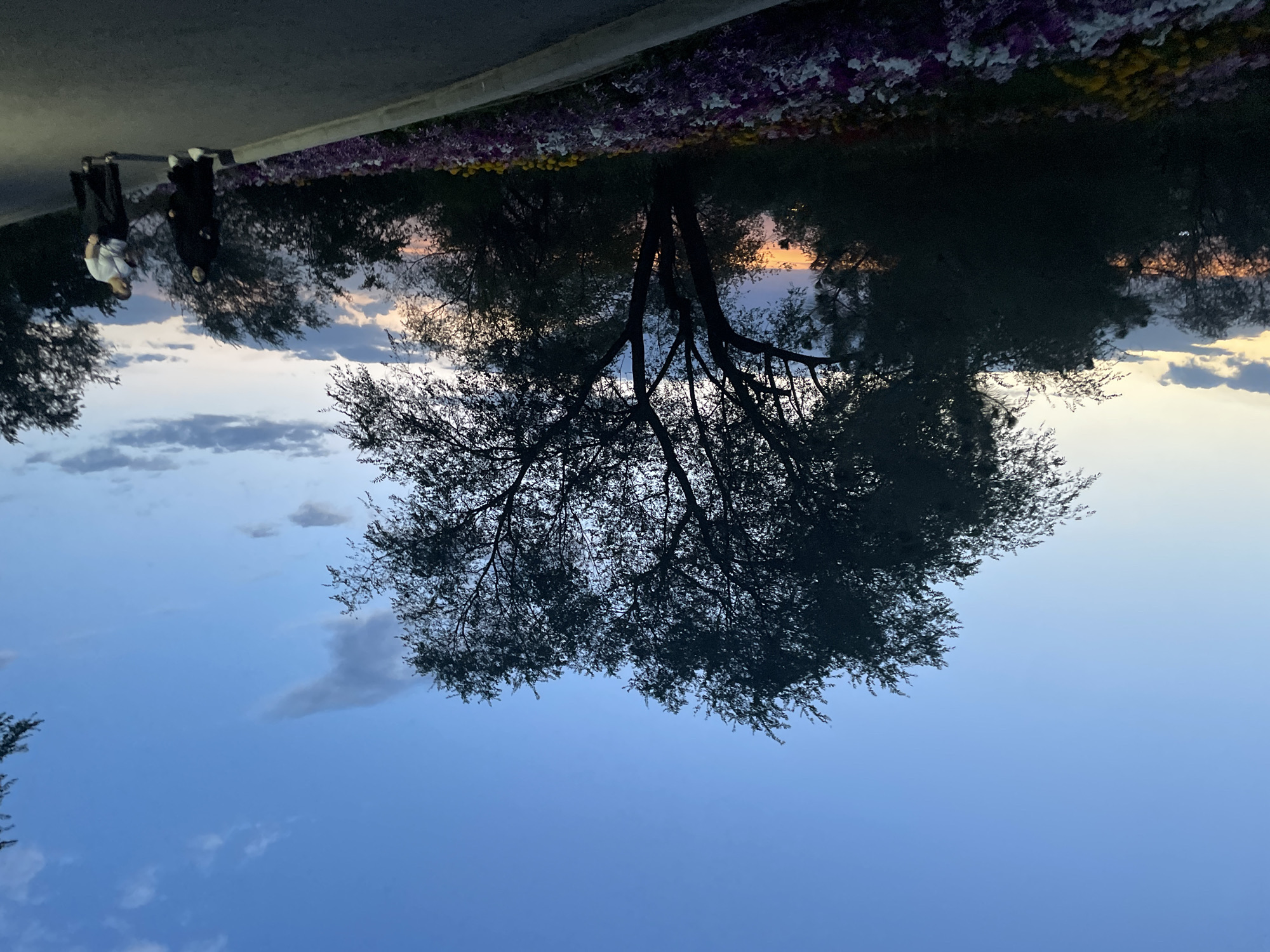 An outdoor scene captured at dusk in Almaty, Kazakhstan, features a paved pathway curving to the right, lined with a vibrant flower bed containing purple, pink, and yellow blossoms. Silhouetted against the twilight sky, a large tree with intricate branches dominates the left side of the frame, while other trees and foliage form a dark backdrop. Two individuals are visible walking on the pathway: one person is wearing a black hijab and a long black garment, and the other is wearing a white t-shirt and dark pants. The sky displays a gradient of blue, transitioning to soft orange and yellow hues near the horizon, with scattered clouds.