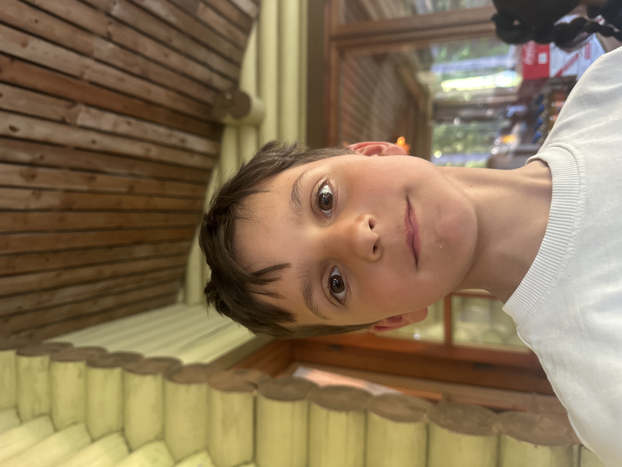 A close-up portrait captures a young child, likely a boy, with short, dark brown hair and wide, expressive brown eyes, looking directly at the camera. He has a neutral to slightly curious expression. He is wearing a plain white t-shirt.
The setting appears to be a rustic indoor or semi-enclosed space, dominated by warm wooden textures. Behind and to the child's left (when viewed upright), a wall constructed from horizontal wooden planks is visible. Below this, across the bottom foreground, are rounded, light-colored log-like structures, suggesting a decorative wall or railing element. To the child's right, a window with a wooden frame provides a glimpse of the outdoors, showing blurred green foliage and bright daylight, indicating the time of day is daytime. In the upper right corner, a red box with the white text "Coca-Cola" is partially visible, hinting at a commercial or recreational establishment.
The image focuses on the child's face and expression, with no specific activity beyond posing for the photograph. The lighting is soft and natural. The location, given as Nummela, Finland, suggests a natural or park-like environment, possibly a cabin or a visitor facility.