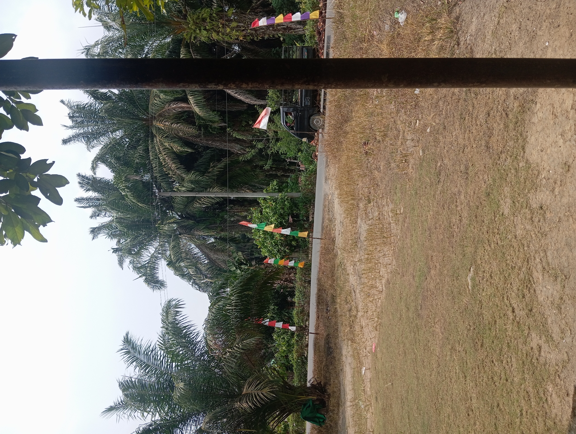 The image shows a roadside scene in Rejosari, Indonesia. A dark-colored pickup truck is driving on a paved road that is lined with palm trees. Several small flags, alternating between red and white, are planted along the side of the road. In the foreground, there is dry grass and a vertical pole. The sky is overcast. There is one person visible in the driver's seat of the pickup truck. The environment appears rural, with dense vegetation to the right of the road.