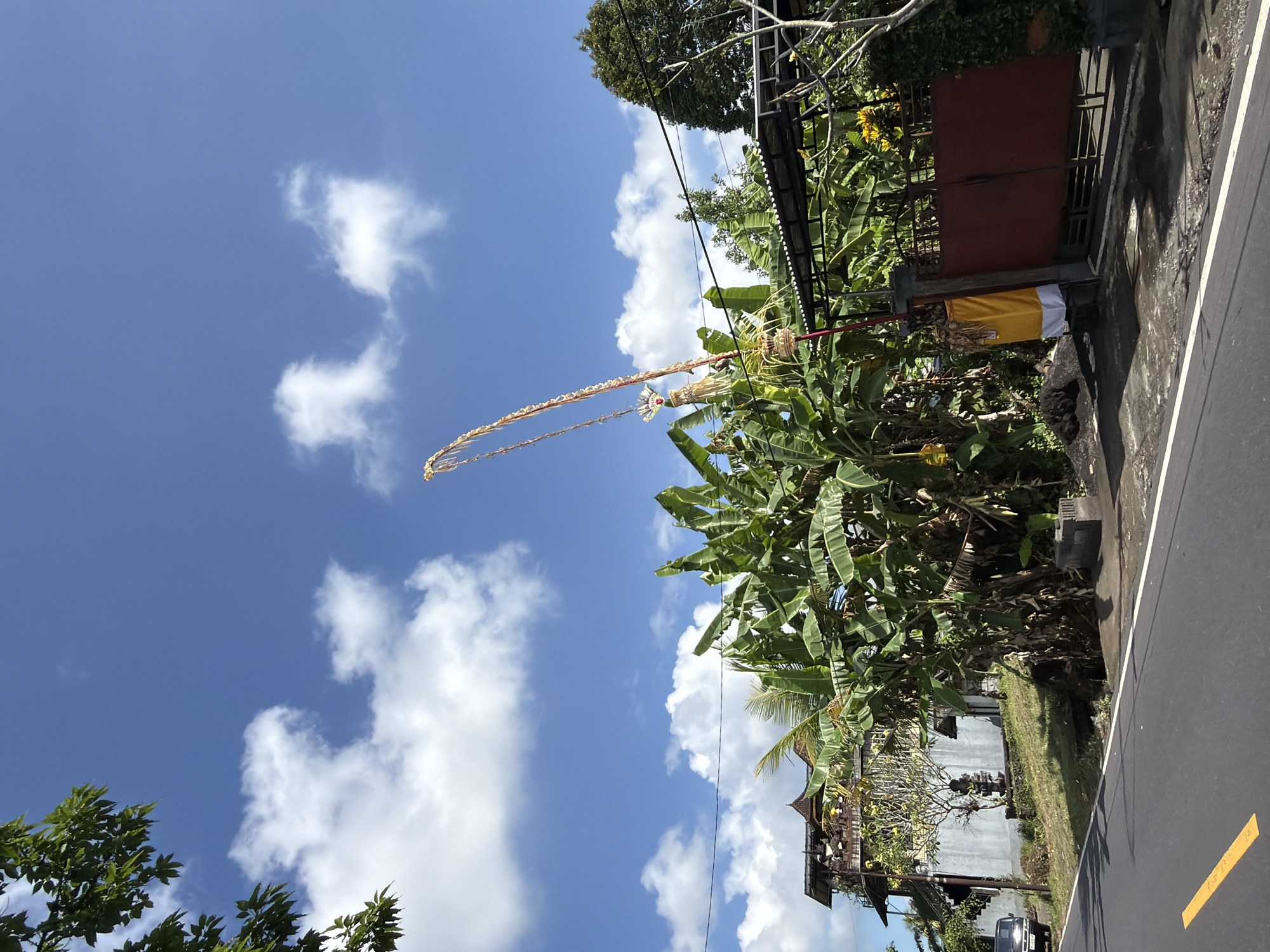 The image, captured in Tampaksiring, Indonesia, presents a street view dominated by lush vegetation and a traditional Balinese structure. A dark asphalt road with a yellow line marking occupies the foreground, leading towards a brown metal gate partially obscured by trees and foliage. To the left of the gate, a tall, decorative bamboo pole with offerings is erected, reaching high into the bright blue sky dotted with fluffy white clouds.
Adjacent to the gate and behind the bamboo pole, a dense cluster of banana trees thrives, their large green leaves creating a vibrant backdrop. Further to the left, a multi-story building with intricate Balinese architectural elements, including tiered roofs and decorative carvings, stands against the sky. A small dark-colored vehicle is parked on the side of the road in front of this building. The overall environment suggests a sunny day in a tropical setting, likely a residential or cultural area. No people are visible in the scene.
