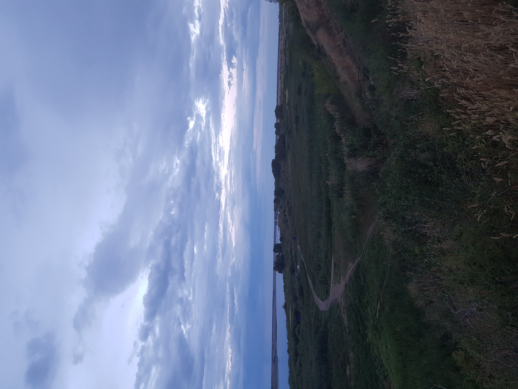 The image depicts a panoramic view of a wide body of water, likely a river or lake, under a cloudy sky. The water is calm and reflects the muted light of the overcast sky. The foreground is dominated by dense green vegetation, including tall grasses and bushes, with a winding dirt path cutting through it. In the mid-ground, beyond the immediate vegetation, there is a treeline along the water's edge, with some scattered smaller trees or shrubs. The overall impression is a natural landscape, possibly a riverbank or a wetland area. The location is identified as being in the city of Kurchatov, Kazakhstan. There are no people or identifiable structures visible in the image. The scene appears to be captured during daylight hours, but the heavy cloud cover creates a subdued and possibly twilight atmosphere.