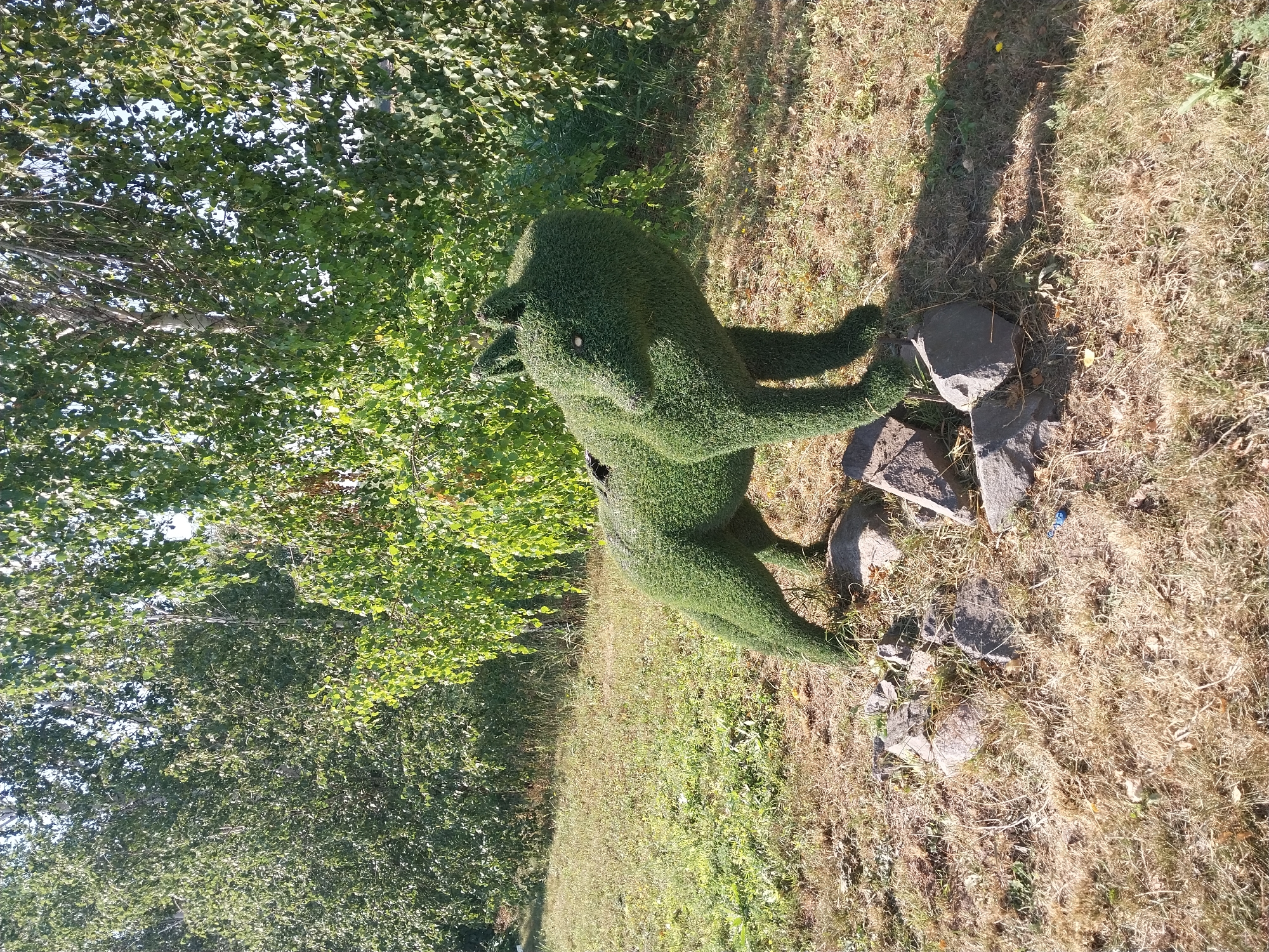 The image depicts a topiary sculpture of a wolf standing on a patch of grass surrounded by rocks. The sculpture is made of dense green foliage. The background consists of lush green trees and dry grass. The scene appears to be an outdoor setting, possibly a park or garden, in the city of Petrykivka, Ukraine. No people are visible in the image. The lighting suggests it is daytime, with sunlight casting shadows.
