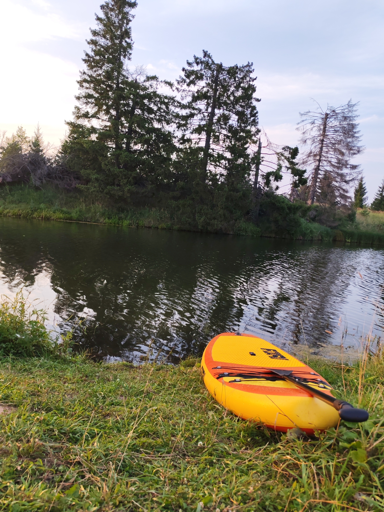 In Podshivalovo, Russia, a yellow and orange paddleboard with a black paddle lies on the grassy bank of a dark, calm body of water. The water reflects the surrounding trees and the sky, which is partly cloudy and a pale blue. A dense line of evergreen trees borders the far bank, interspersed with some dry, bare trees. The foreground features lush green grass and some dry stalks of vegetation. The scene depicts a serene natural environment, possibly a lake or river, in the late afternoon or early evening.