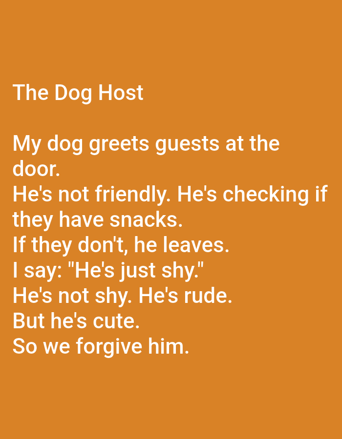 The image contains text on an orange background. The text is white and reads:
The Dog Host
My dog greets guests at the
door.
He's not friendly. He's checking if
they have snacks.
If they don't, he leaves.
I say: "He's just shy."
He's not shy. He's rude.
But he's cute.
So we forgive him.
There is no information in the image that indicates its location in the city of Kępno, Poland.
