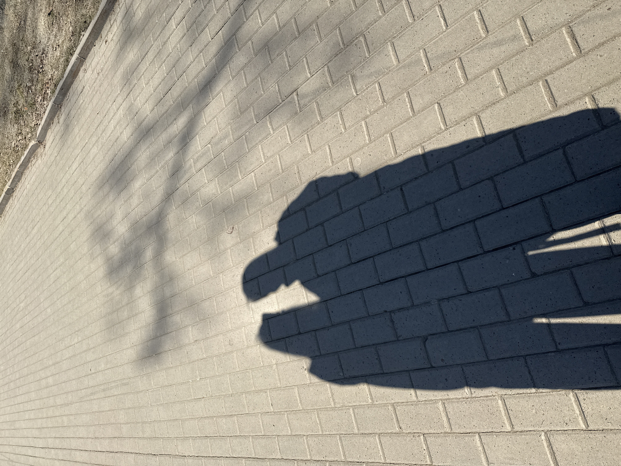 The image shows a paved walkway composed of rectangular gray bricks. A shadow of a person holding an object, possibly a long stick or microphone, is cast on the bricks. A blurry shadow of a tree or vegetation is seen on the left side of the walkway. The walkway is adjacent to a patch of dirt and vegetation. The image is taken at a low angle. The location is unknown, and there is no information to link it to Izhevsk, Russia.