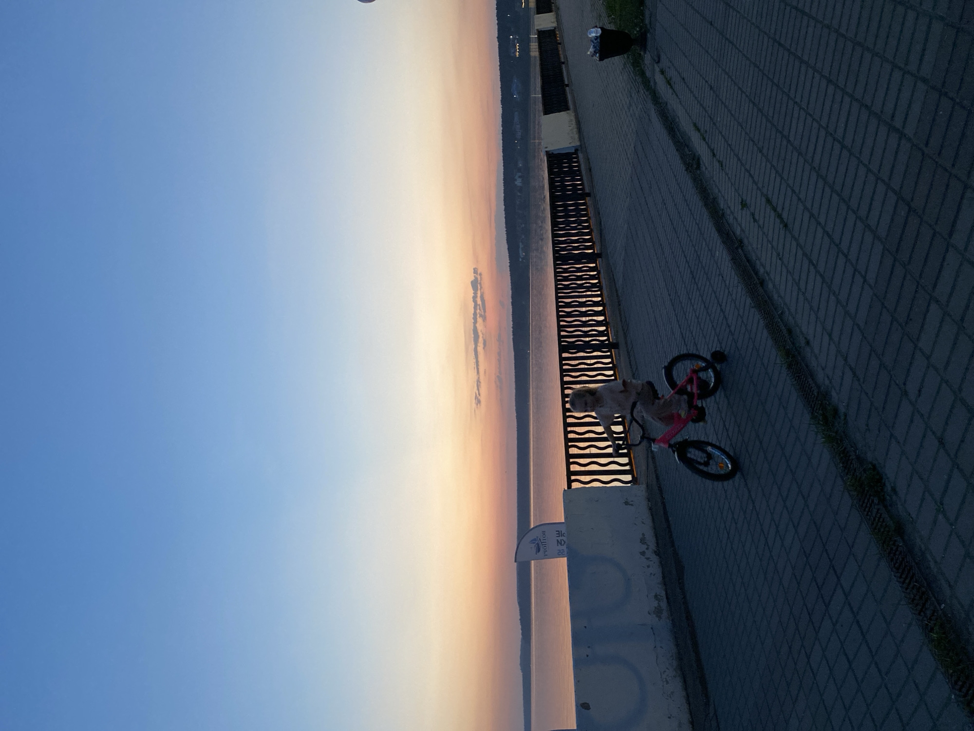 A dog is riding a pink bicycle on a brick path. A metal railing separates the path from the water, visible as a blurred orange and blue background. The blue and orange transition suggests a sunrise or sunset.
A sign with the words "Votkinsk Pie" in Cyrillic script is beside the railing. A concrete wall with bicycle-related images is in the foreground. The brick path extends into the distance. A trash receptacle is also visible.