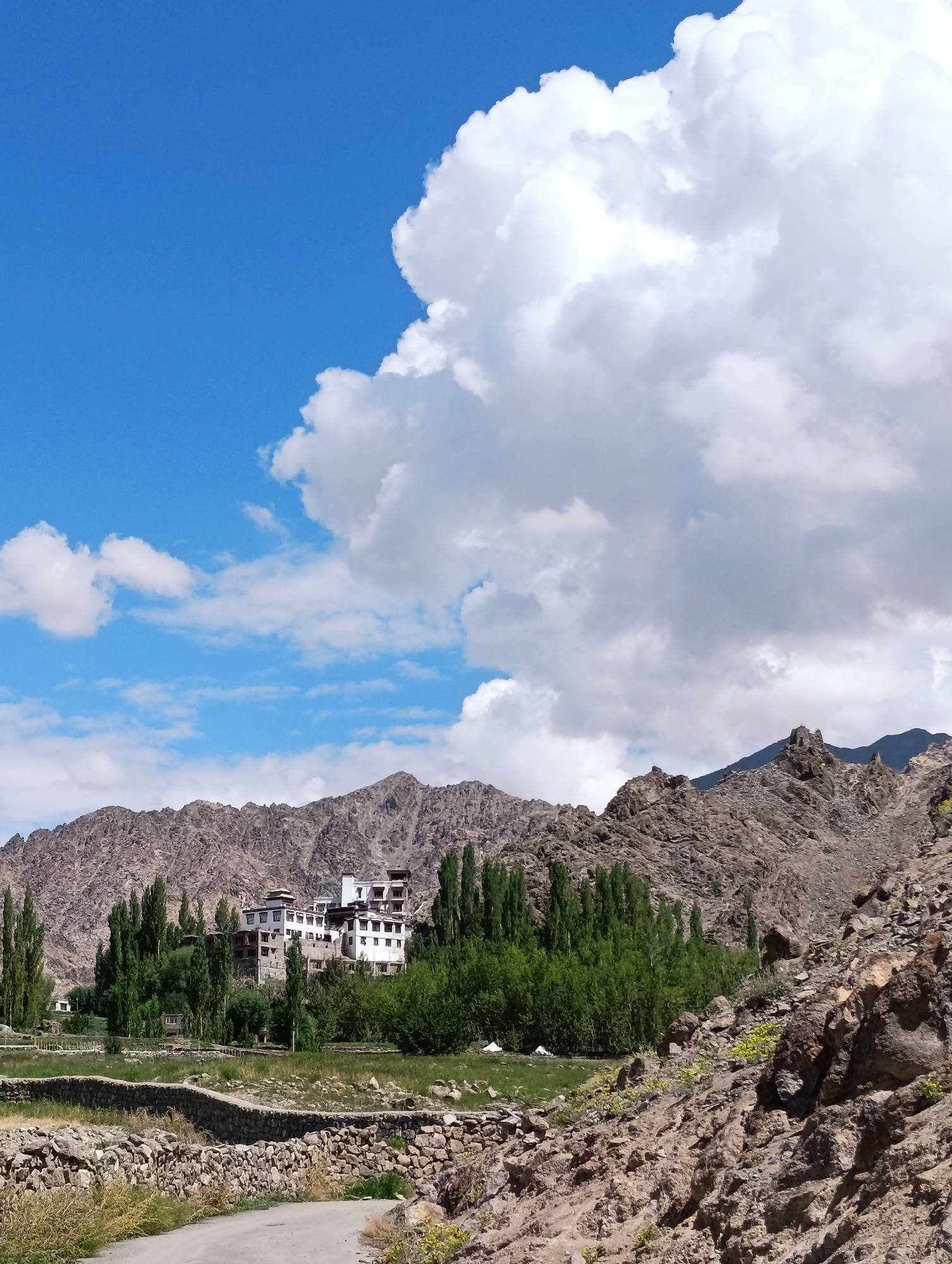 The image captures a remote village nestled amongst rugged mountains under a bright blue sky dotted with large, fluffy white clouds. In the mid-ground, a multi-story white building complex, likely a monastery or residential area, stands prominently surrounded by a dense grove of tall, slender green trees. The foreground features a dirt path winding through an area with dry grass and stone walls, suggesting an arid, rural landscape. The rocky, mountainous terrain extends behind the village, with its slopes covered in scree and sparse vegetation. The scene appears to be a wide-angle shot, giving a sense of the vastness of the landscape and the isolated nature of the settlement. The overall impression is one of tranquility and natural beauty in a high-altitude environment.