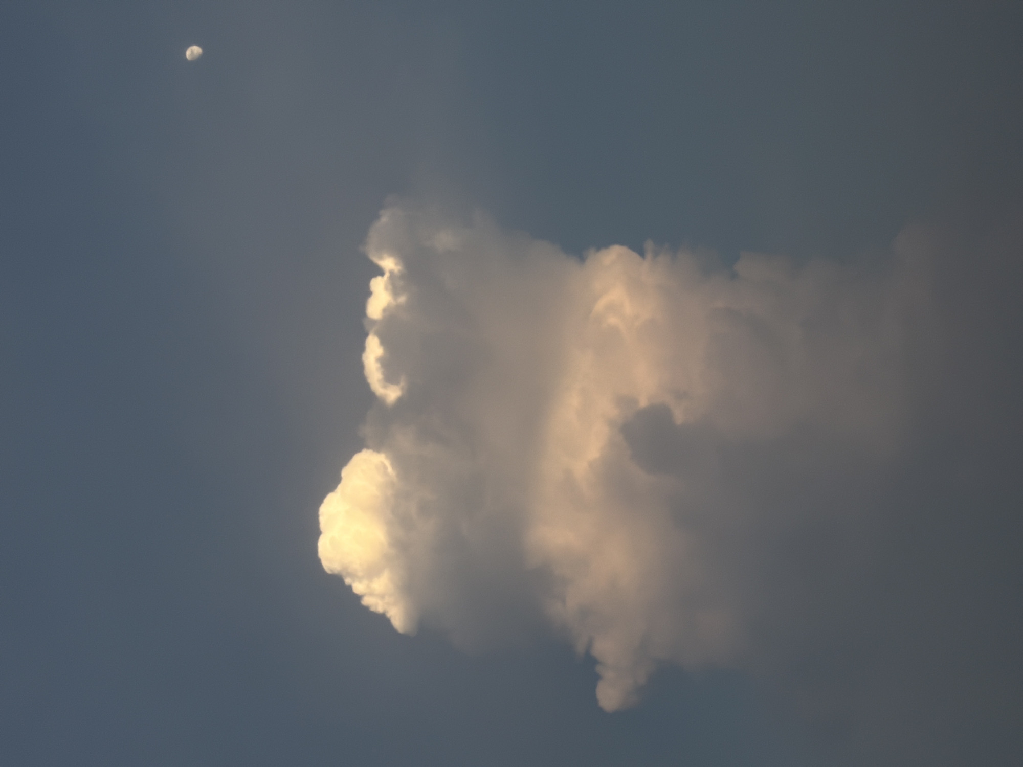 The image shows a cloudy sky with the moon visible in the upper left corner. The moon is small and appears as a pale orb against the deep blue sky. A large, luminous cloud dominates the center of the frame, catching the light and appearing bright white and golden in some areas. The cloud has a textured, billowy appearance, with darker, shadowed areas indicating depth and volume. The sky is a muted blue, suggesting it might be late afternoon or early evening, as the light on the clouds is warm. The setting is outdoors, with the sky being the sole focus. No people, objects, or text are visible. The overall mood is serene and atmospheric, typical of a sky observation. The location is identified as Delhi, India, which provides geographical context, but there are no specific visual cues within the image to confirm this location. The weather appears to be clear with the presence of clouds.