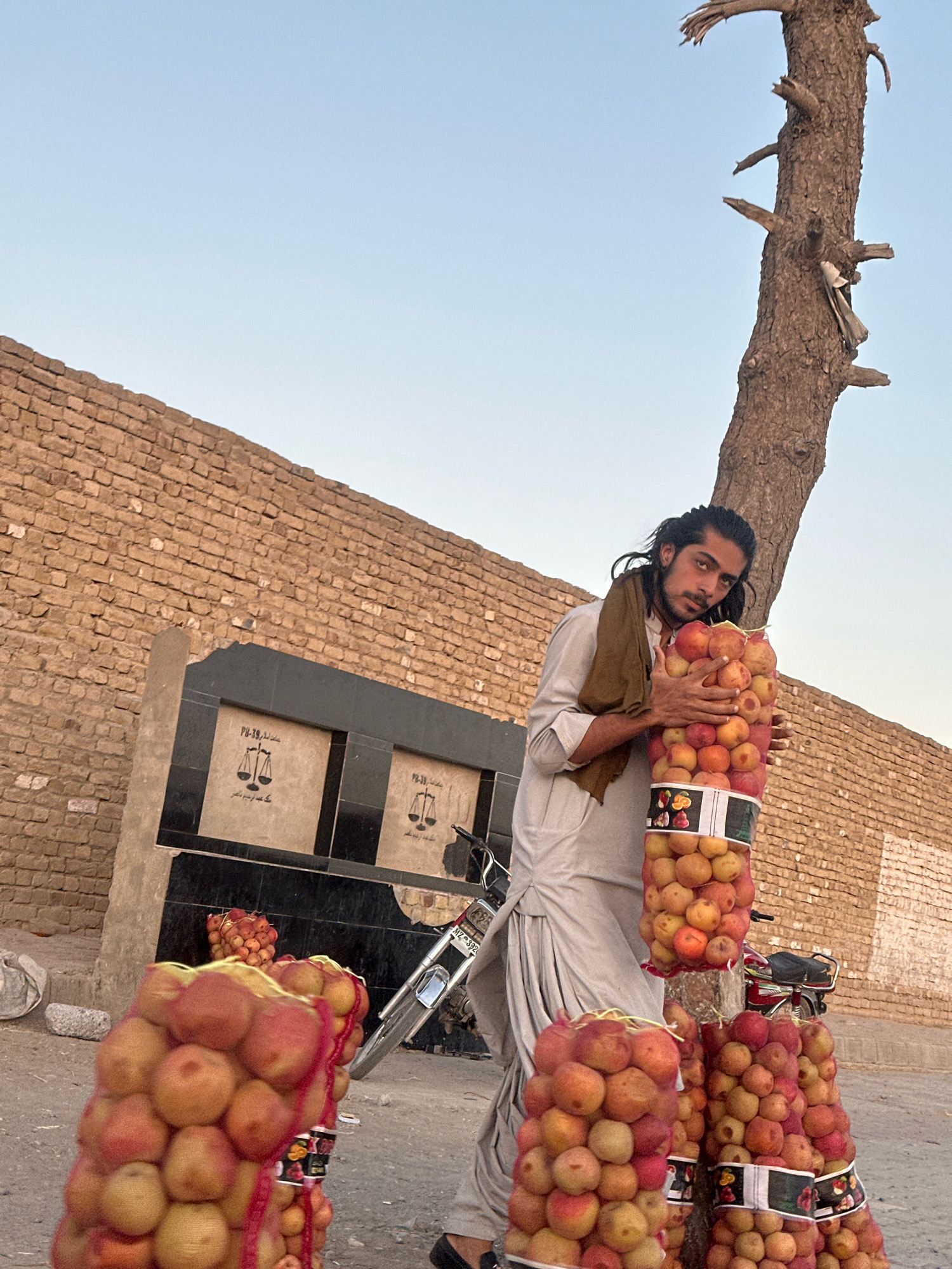 In Quetta City Tehsil, Pakistan, a young man with dark, wavy hair and a brown scarf draped around his neck stands beside a tree trunk. He is dressed in a light-colored shalwar kameez. He is embracing a large mesh bag filled with apples, which is propped against the tree. To his right, another similar bag of apples is visible, and to his left, two more bags of apples are stacked. In the background, a low, tan brick wall stretches across the frame. To the left of the man, a dark stone monument with engraved scales of justice and Arabic script is visible. A motorcycle is parked behind the monument and to the right of the man. The scene is set against a clear, pale blue sky.