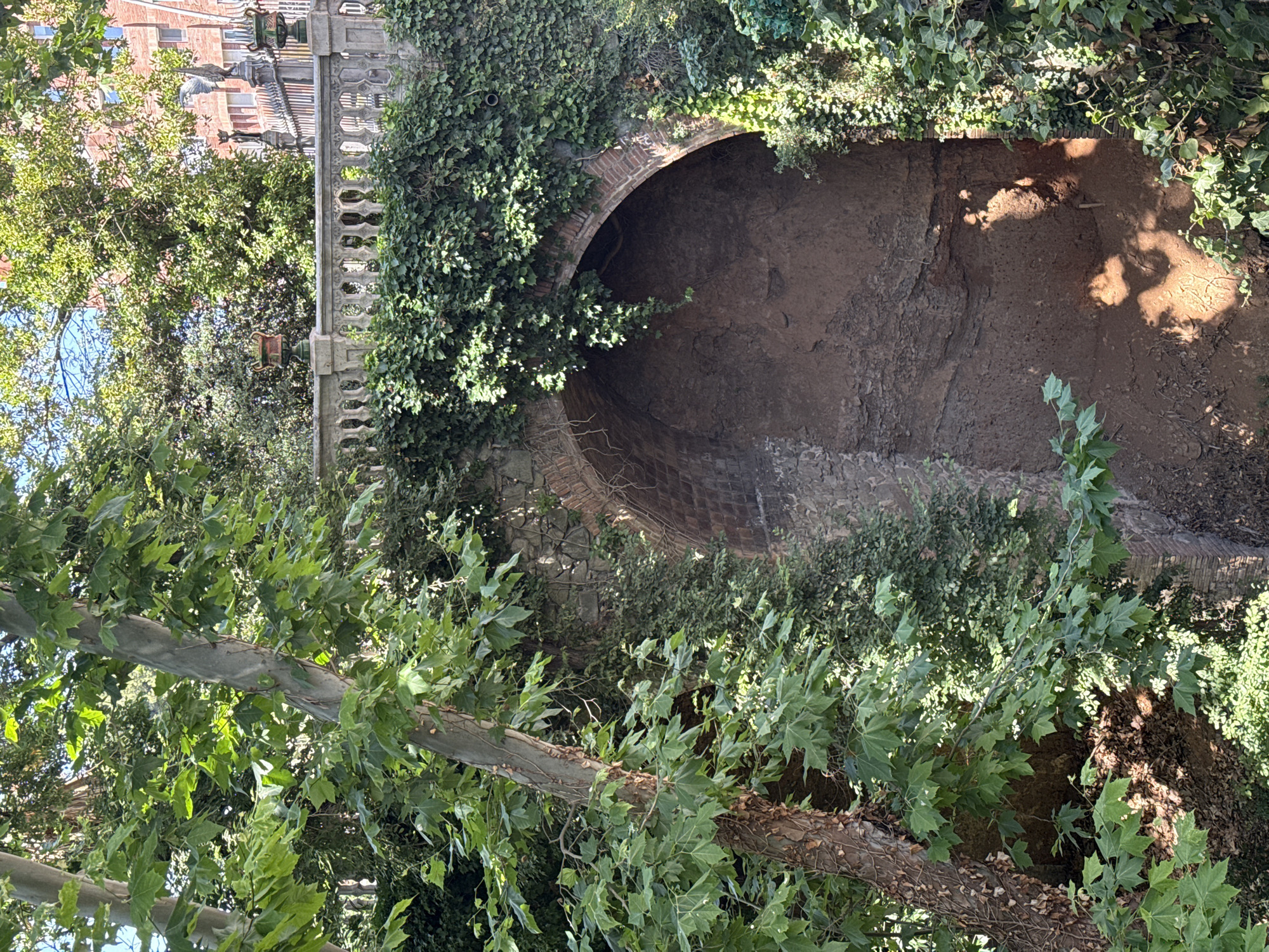 The image depicts a picturesque scene within Parc de la Ciutadella in Barcelona, Spain, featuring an old stone bridge adorned with lush ivy. The bridge, constructed with rough-hewn stones and brickwork, features a prominent archway that leads into a dark recess. The parapet of the bridge is made of decorative stone with a balustrade design, also covered in climbing ivy.
In the foreground, a large tree with a textured, peeling bark stands to the left, its branches heavy with green leaves that partially obscure the view of the bridge. Sunlight filters through the foliage, casting dappled shadows on the ground and the bridge's interior. The background reveals more greenery, suggesting a park or garden setting, with a glimpse of a brick building and a decorative metal fence.
The overall impression is one of a serene, natural environment integrated with historical architecture, typical of the charming atmosphere of Barcelona's Parc de la Ciutadella. There are no people visible in the image.