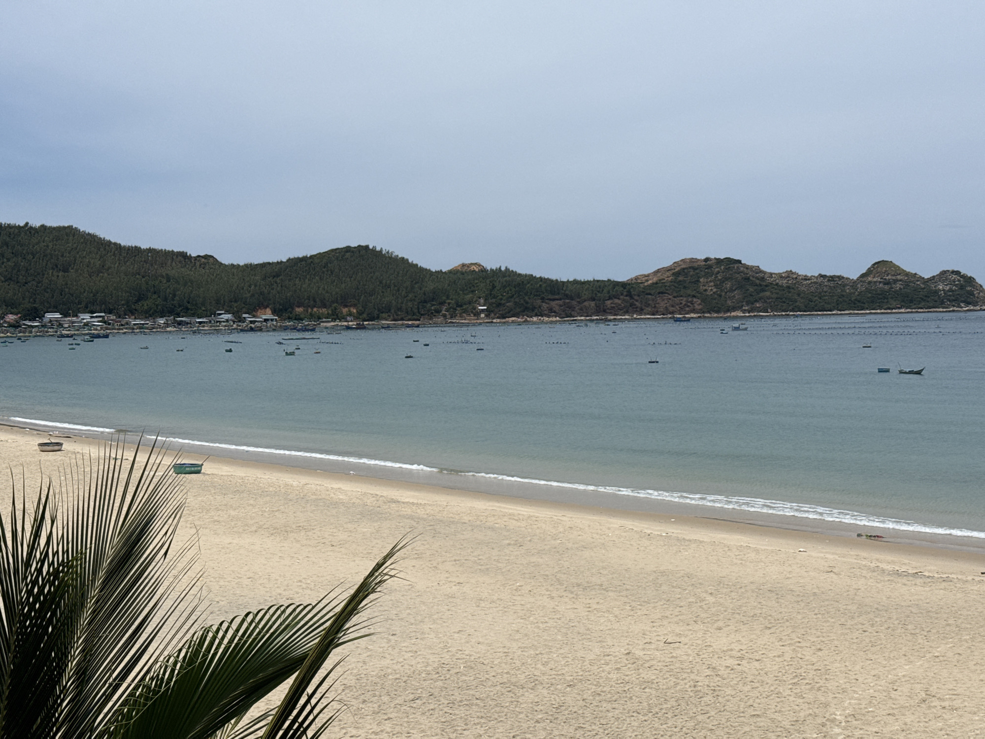 A wide shot of a sandy beach meets a calm, turquoise ocean under an overcast sky. In the foreground, the fronds of a palm tree are visible on the left side, casting a shadow on the sand. The beach is mostly empty, with two small boats resting on the sand near the water's edge, one in the middle-left and another in the upper-left quadrant of the image. A few pieces of debris are scattered along the waterline.
The ocean stretches out to the horizon, dotted with numerous small boats and what appear to be aquaculture structures. In the distance, a long, undulating coastline is covered in lush green trees, with some buildings visible clustered along the shore. The sky is a pale, uniform gray, suggesting a cloudy or hazy day. The overall impression is one of a serene, coastal landscape with signs of human activity related to fishing or aquaculture.