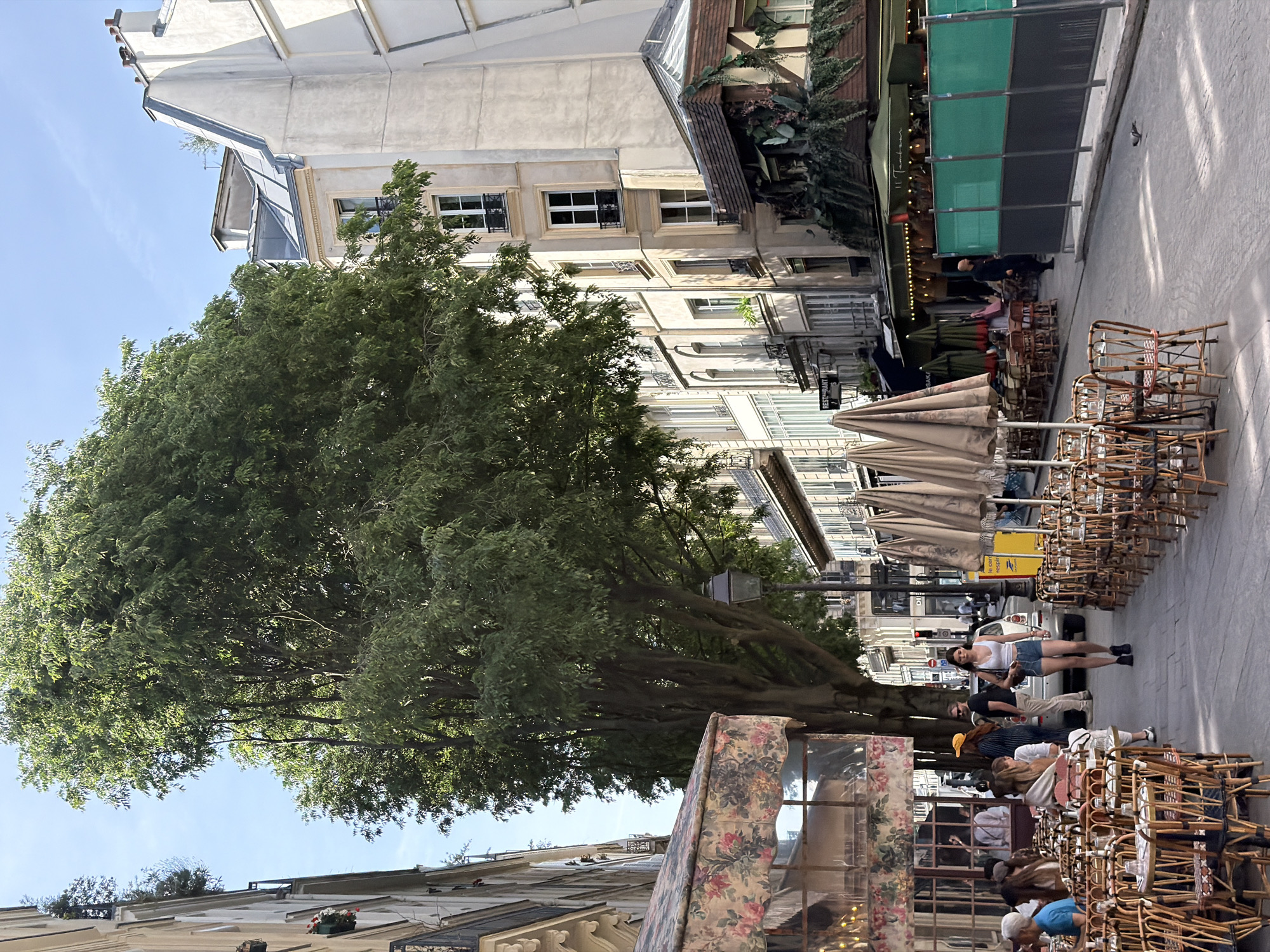 The image shows a street scene in Paris, France. The buildings are traditional Parisian architecture, with light-colored facades and rows of windows. A large tree provides shade over the street. A restaurant or café extends onto the sidewalk, with outdoor seating comprised of wicker chairs and tables arranged under umbrellas. People are sitting, walking, and standing near the restaurant. The environment is urban, reflecting a typical day in the city.