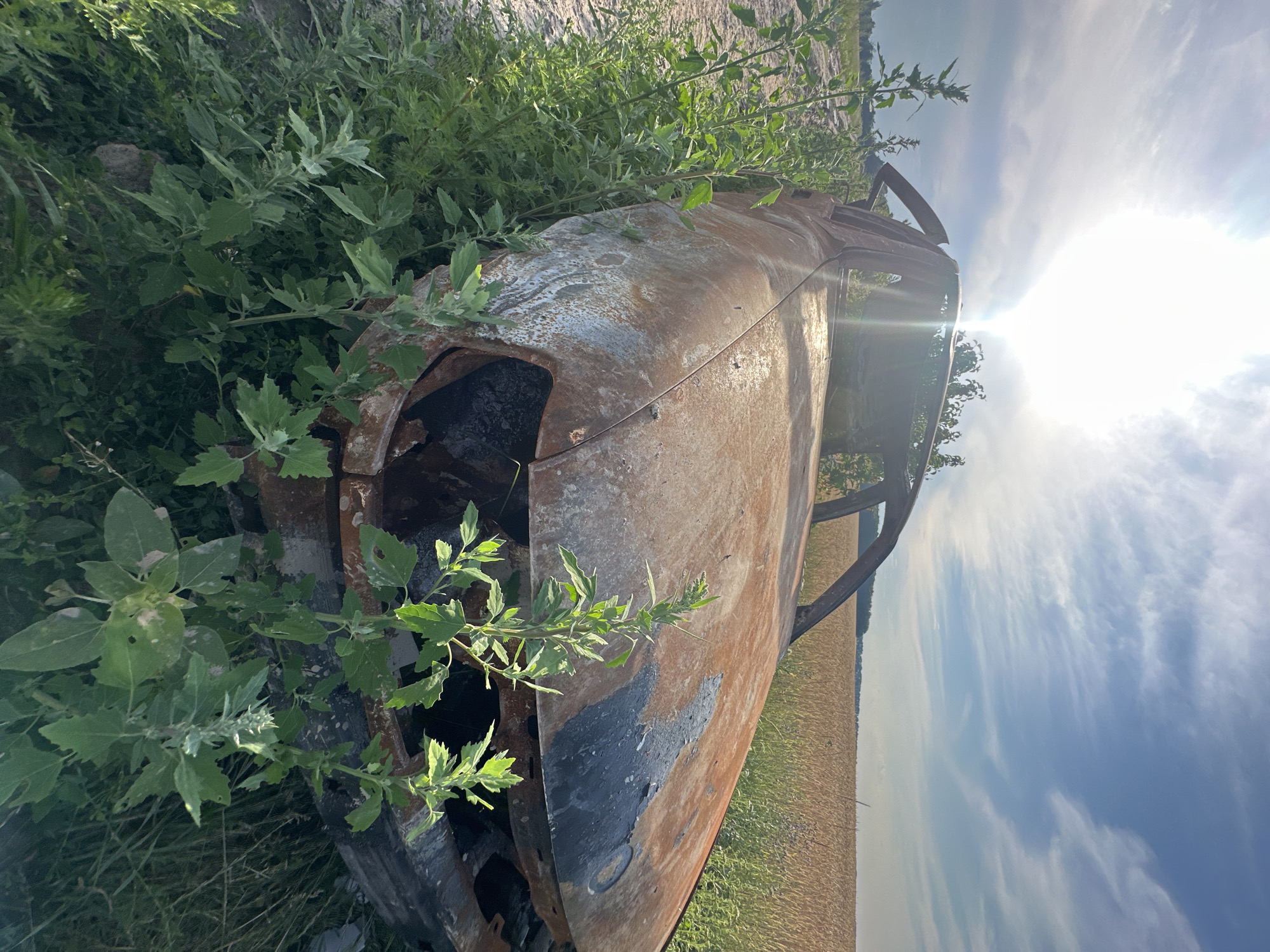 The image depicts a heavily damaged, rusted, and burned-out car situated outdoors amidst overgrown vegetation and a field of wheat. The car is in a state of severe decay, with its roof and windshield missing, and portions of its body scorched and peeling. Green plants are growing around and through the vehicle, indicating a period of neglect. In the background, a vast field of golden wheat stretches towards the horizon under a bright, sunny sky with scattered clouds. The sun is prominently positioned in the upper left quadrant of the image, casting a lens flare. The scene appears to be a roadside location, possibly on the outskirts of Makiv, Ukraine, given the context. No people are visible in the image.