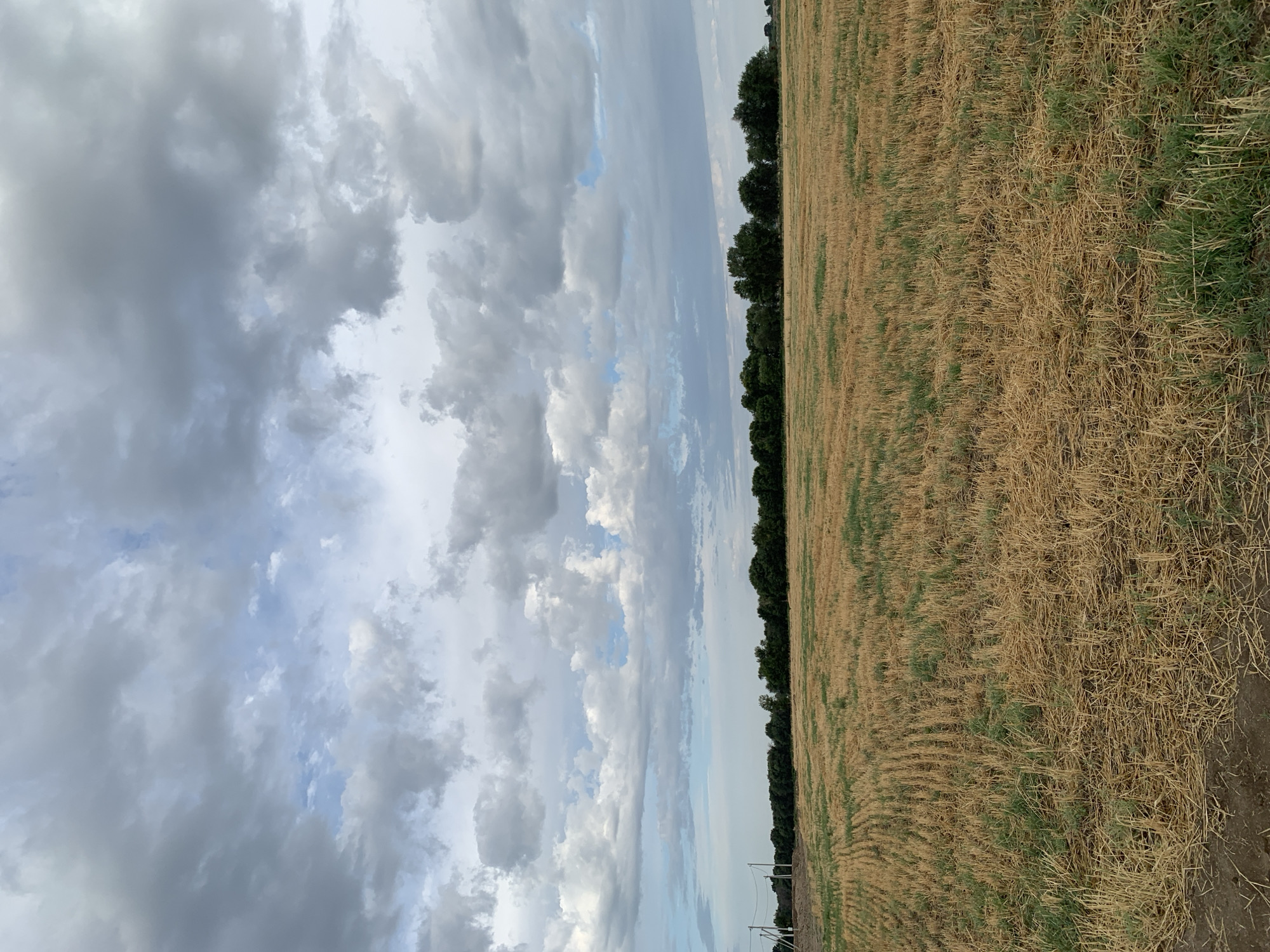 A harvested field with stubble and green grass stretches horizontally across the frame, meeting a line of dark green trees in the distance. The sky above is filled with dramatic, overcast clouds in shades of gray and white, with patches of blue sky peeking through. In the far left of the image, there are utility poles and wires. The overall scene suggests a rural or agricultural setting in Komsomolskoe, Kyrgyzstan.
