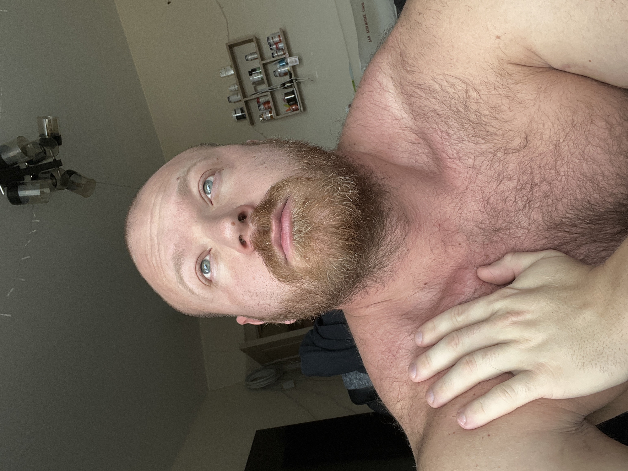 A man with a bald head and a reddish-brown beard is pictured from a low angle, seemingly a selfie. He has light skin and light-colored eyes. His upper chest and shoulder are visible, covered in hair. His hand rests on his chest. The background is a room with a shelf holding small objects mounted on the wall. A lamp fixture is visible in the upper left corner. There is no discernible information to suggest the location is Noviy, Russia.