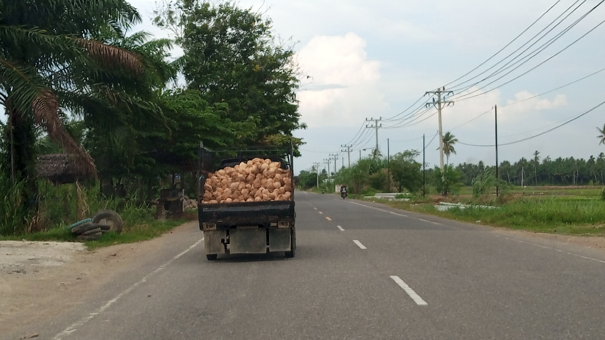 The image depicts a road scene in Kruengseupeng, Indonesia. A flatbed truck laden with coconuts is traveling on the right side of a paved road. To the left of the road, there are palm trees, dense foliage, and some discarded tires. On the right side of the road, there are utility poles with overhead wires, a distant motorcycle rider, and cultivated fields. The sky is overcast with scattered clouds.
