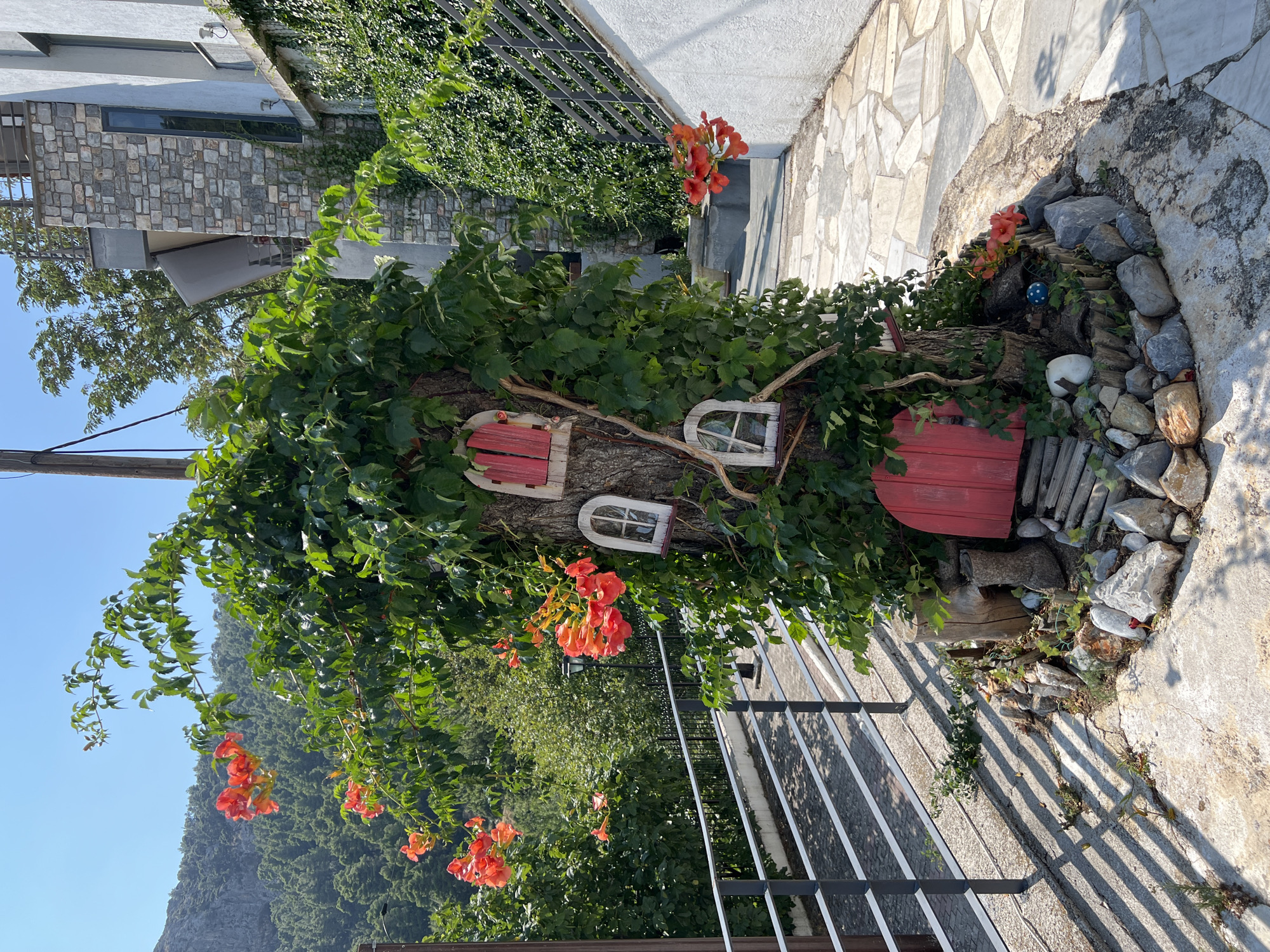 In the village of Stenies, Greece, a whimsical tree stump adorned with miniature red doors and windows, resembling a fairy house, stands prominently. Lush green vines and vibrant orange trumpet flowers encircle the tree stump, adding to its enchanting appearance. Behind the tree stump, a modern building with stone and white facade is visible, while a stone-paved pathway winds through the scene. A metal railing lines the pathway, separating it from a lower paved area. The sky above is a clear blue, indicative of a sunny day.