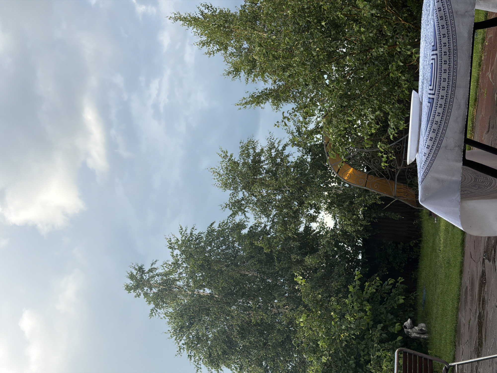 The image depicts an outdoor scene, likely in a backyard setting, with lush green trees dominating the background under a cloudy sky. In the foreground, a table covered with a patterned tablecloth is set with a white oval dish. To the left of the table, a metal chair with dark wooden slats is partially visible. Further back in the yard, a stone sculpture resembling a dog sits on the grass, near a cluster of dense greenery. An ornamental archway with a yellow-tinted surface stands behind the table. The ground in the foreground appears to be paved with stone slabs and is wet, suggesting recent rain. The overall impression is one of a slightly overcast day in a natural, possibly residential, environment.