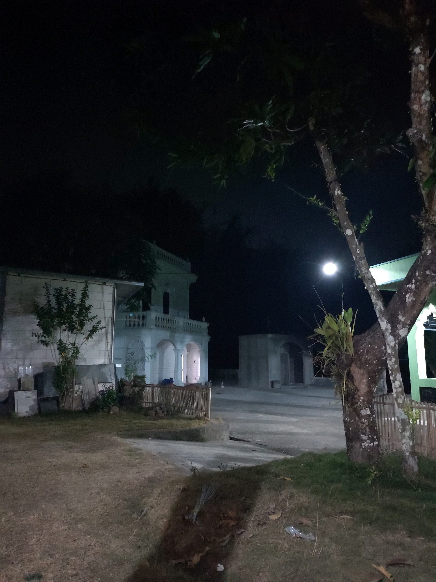 The image captures a dimly lit outdoor scene at night, possibly in Jogonegoro, Indonesia. A two-story building with an arched entryway and balcony dominates the left side of the frame, appearing partially under construction with unfinished brickwork visible. To the right, a large tree with mossy bark stands prominently, with a bright light source, likely a street lamp or the moon, visible in the dark sky behind it. Another smaller structure with an arched opening is visible in the background. The ground is covered in dry grass and dirt, with some foliage and a small bamboo fence. The overall impression is one of a somewhat dilapidated or developing area, with the natural elements of the tree and foliage contrasting with the man-made structures. There are no people or animals visible in the frame.