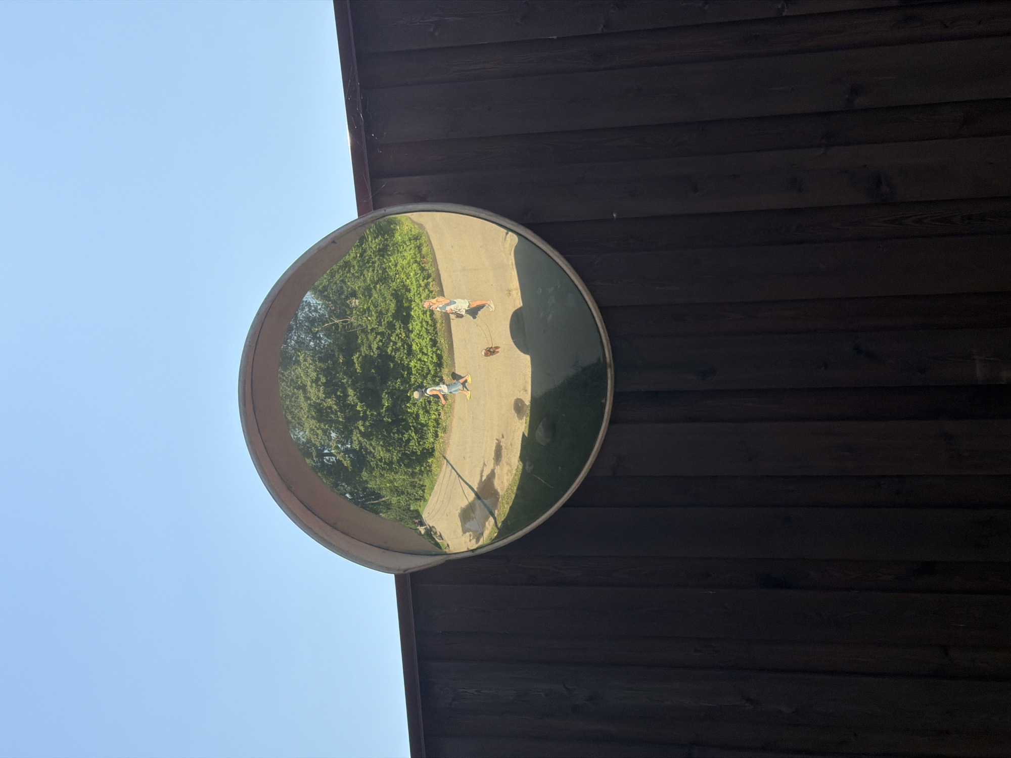 A convex mirror is mounted on a vertical wooden fence. The mirror reflects two people and a dog walking on a paved path lined with trees. The sky above is clear and blue. The fence is made of dark, vertical wooden planks. The mirror is round with a silver-colored frame. The person on the left is wearing a white t-shirt, blue shorts, and a light-colored cap, with yellow shoes. The person on the right is wearing a light-colored dress and white sneakers. The dog is small and brown, on a leash held by the person on the right. Shadows are cast on the path, indicating a sunny day. The reflection shows a curved perspective typical of a convex mirror, distorting the scene. The location is Lisy Nos, Russia.