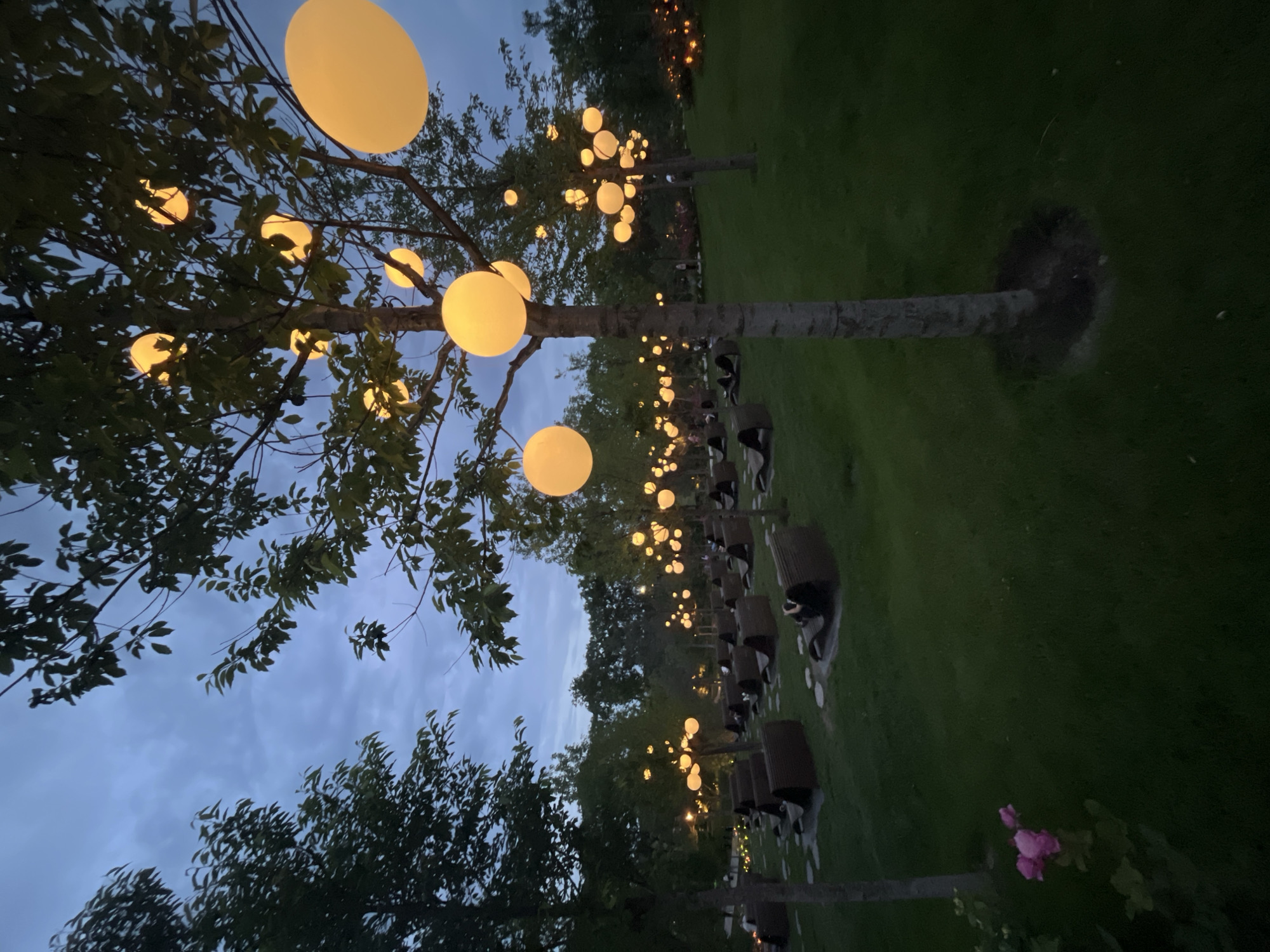 This image captures an enchanting outdoor scene at twilight or night, likely in a park or garden in Krasnodar, Russia. The scene is dominated by numerous glowing, spherical lights that are artfully suspended from the branches of trees, casting a warm, yellow-orange illumination.
The foreground features a prominent tree adorned with several of these large, luminous orbs, their light contrasting with the dark silhouettes of the tree's leaves and branches against the deepening blue of the evening sky.
Further into the background, a long line of similar trees stretches into the distance, each illuminated with its own array of spherical lights, creating a path of glowing orbs. Alongside this path, a series of dark, columnar objects are regularly spaced on a grassy area. These objects appear to be either benches, planters, or decorative elements, some of which also seem to have smaller lights integrated into their design.
The sky is a muted blue-grey, indicative of dusk or early night, with visible cloud cover. The overall atmosphere is serene and magical, suggesting a beautifully lit public garden, an outdoor evening event, or a festive setup. A small bush with delicate pink roses is visible in the lower right portion of the frame, adding a subtle touch of natural color. No people or visible text are present in the image.