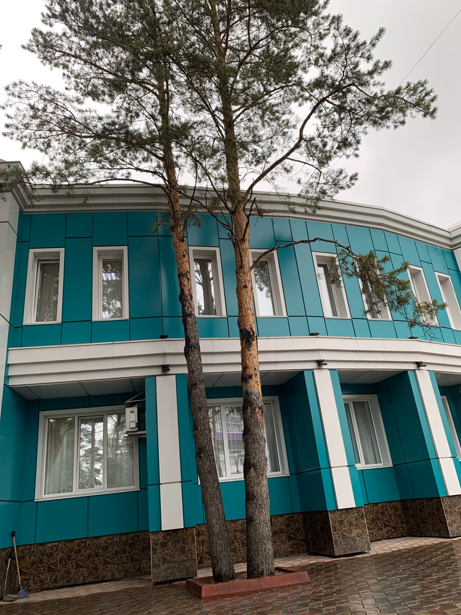 The image shows a modern building with a teal facade and white accents, featuring multiple windows. Two pine trees stand in front of the building, their branches extending towards the sky. The ground in front of the building is paved with a reddish-brown brick pattern, and it appears wet, suggesting recent rain. A broom and dustpan are leaning against the building on the left side. The sky is overcast and grey. This is a view of the building located at ulitsa Kolyvanova, 26, in Prokopyevsk, Russia.