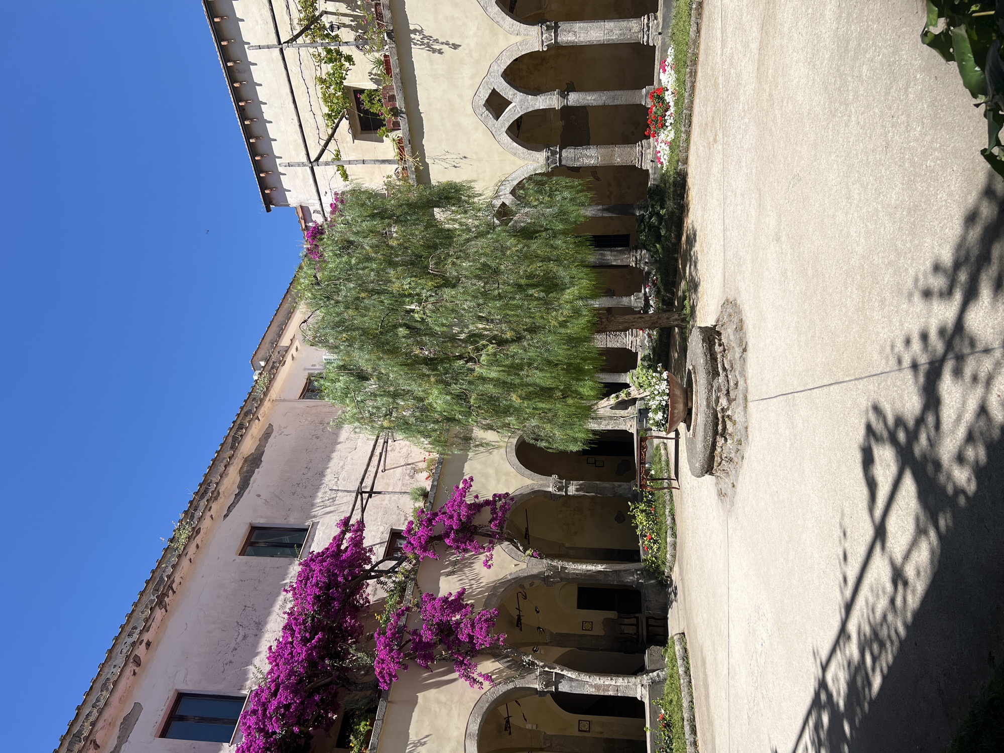 This image depicts a sunlit courtyard within the Chiostro di San Francesco in Sorrento, Italy. The courtyard features a central stone well with a potted plant. To the left, vibrant purple bougainvillea cascades over an arcade with arched columns. A tall, leafy tree stands in the center of the courtyard, its branches casting shadows on the paved ground. The arcade's facade is cream-colored, with arched openings revealing dark interiors. Flowerbeds with red and white flowers line the base of the arcade. The sky above is a clear, bright blue. The image captures a serene and historic atmosphere.