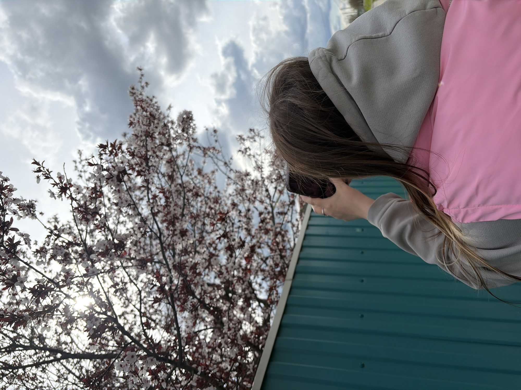 A person wearing a grey hooded sweatshirt and a pink vest is taking a photograph of a tree in bloom. The tree is in the lower left of the frame, partially obscuring a cloudy sky. To the right of the person is a green corrugated wall. The location is Novopokrovskaya, Russia.