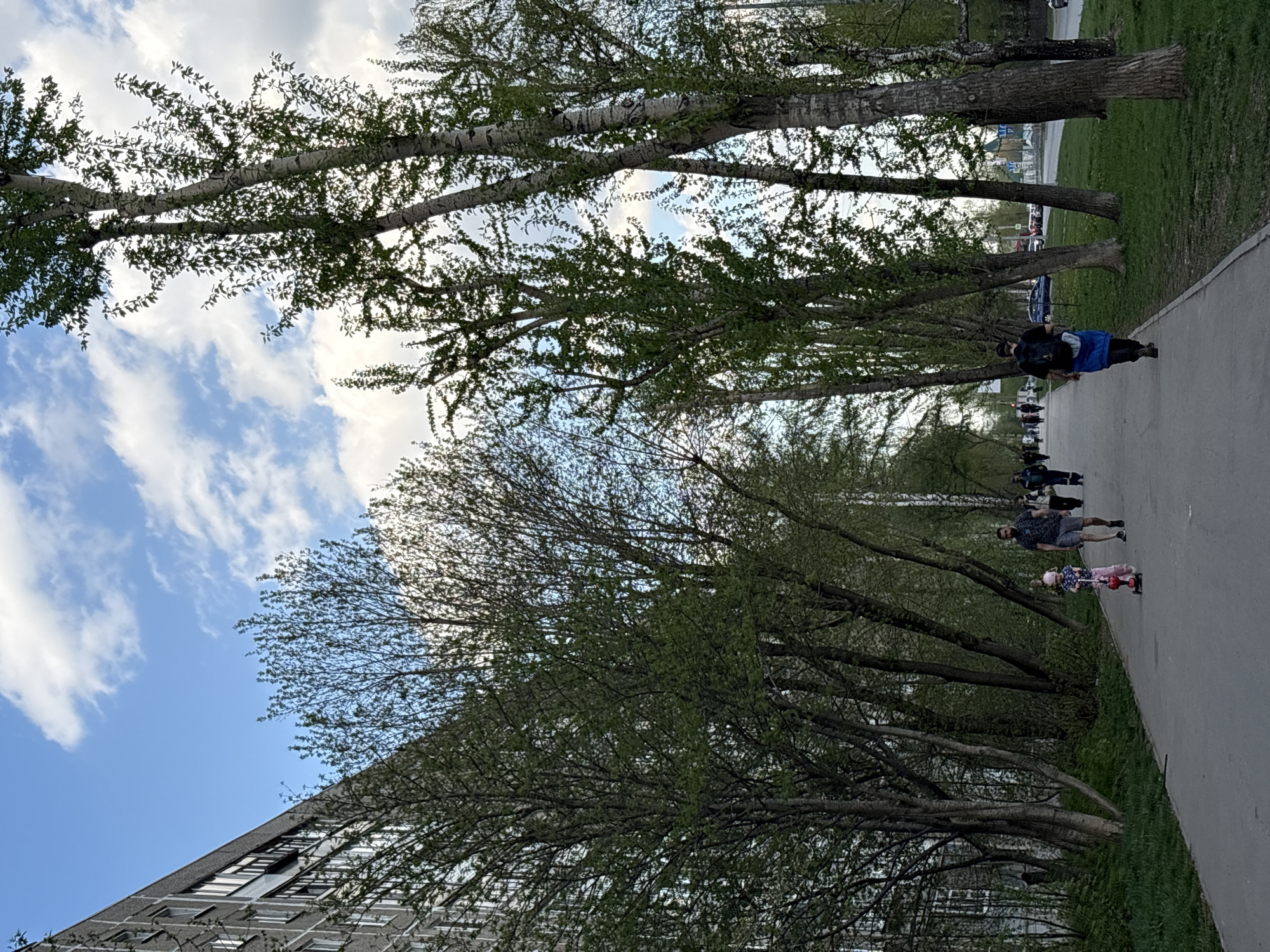 The image captures an outdoor scene likely in Perm, Russia, given the Soviet-era architecture visible. A paved walkway stretches into the distance, flanked by a row of trees with newly emerging leaves. A building with many windows and a sloping roofline is visible on the left edge of the frame. Several individuals are walking along the path, including an adult pushing a child on a scooter, and others further down the path. The sky is visible through the trees, showing a combination of blue sky and white clouds.