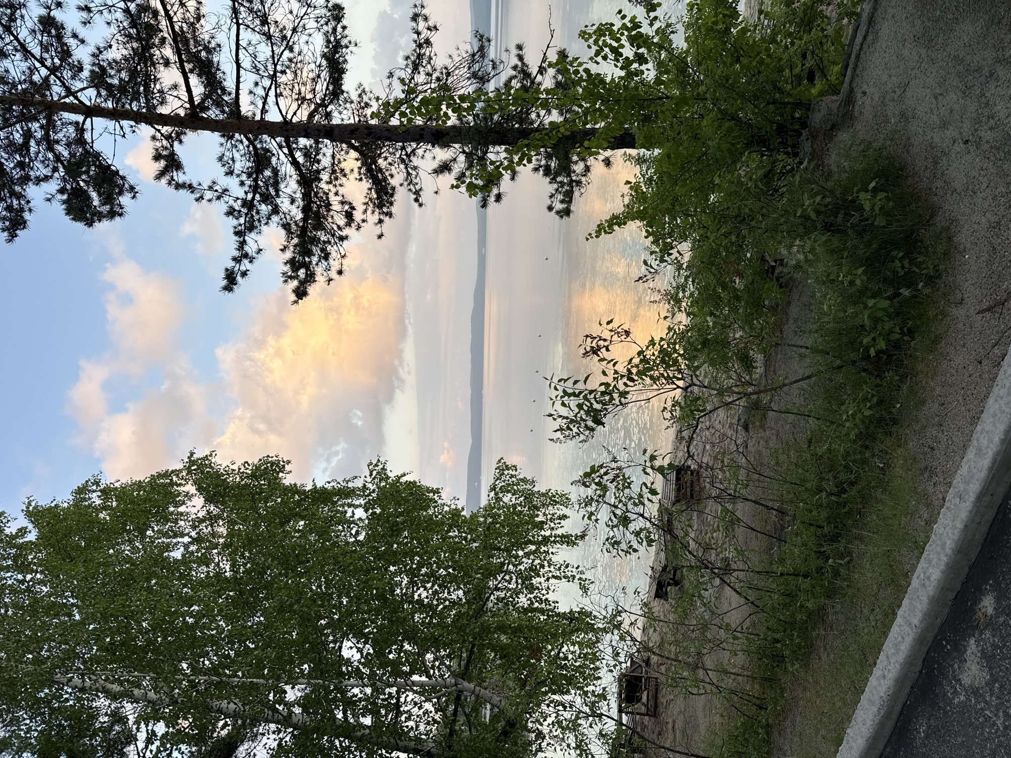 The image shows a landscape view, likely taken at dusk or dawn, with natural and man-made elements. In the background, there's a body of water reflecting light, possibly a lake or a sea, with a distant landmass visible. The sky above has a mix of blue and orange hues, suggesting a sunrise or sunset.
The foreground includes trees with varying foliage. A tall pine tree is visible on the left and right with distinctive needles. Another tree with broader green leaves is at the bottom left of the image.
On the right side of the frame, there's a concrete surface and a rough, unkempt area with some bushes and grass.
There's no explicit indication of the image being taken in Zolotoi Plyazh, Russia. There are no visible people, actions, or interactions taking place in the frame. The dominant subjects are the natural environment and a small amount of what appears to be an edge of pavement.