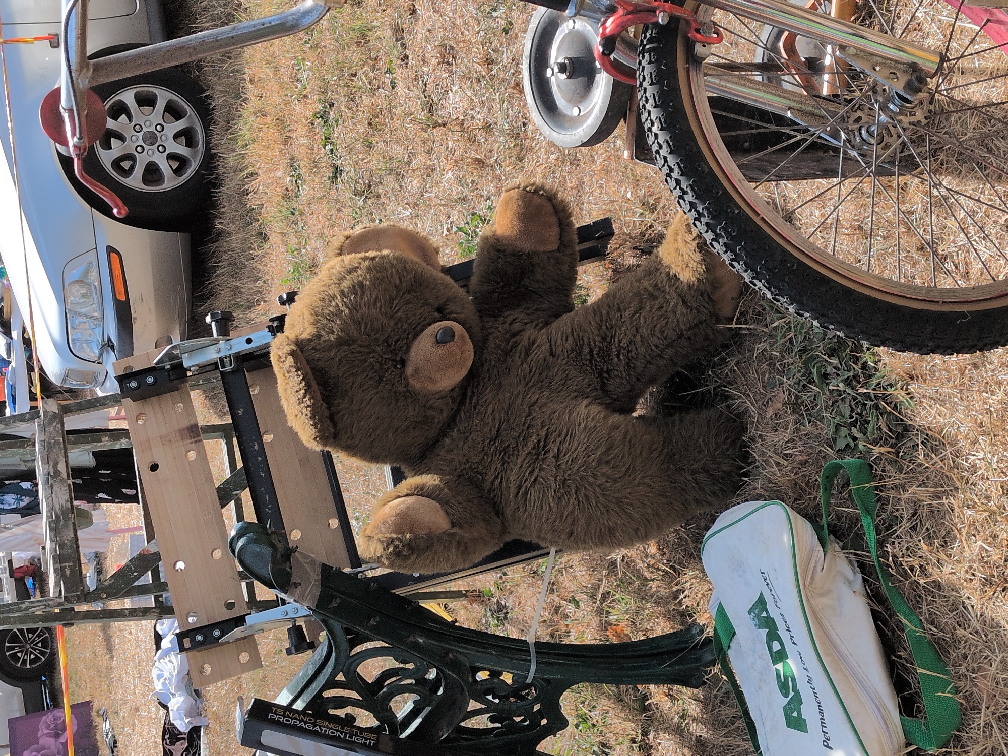 The image depicts an outdoor scene with a brown teddy bear as the central subject, positioned in the foreground. The teddy bear is seated and appears to be resting on the ground. To the left of the teddy bear, a dark green metal bench with intricate scrollwork is visible, its seat a weathered light-colored wood. In front of the bench, a white canvas bag with green trim and the "ASDA" logo is on the ground, with a green strap extending from it. A bicycle wheel, with a black tire and silver spokes, is prominently positioned in the lower right quadrant of the image. Behind the teddy bear and bench, a light-colored car is partially visible, with its front wheel and headlights showing. The ground is covered in dry grass and dirt. The background includes a wooden structure that resembles a ladder or workbench, and some clothing items are draped over it. The scene is lit by bright sunlight, casting shadows. The location is identified as Claverley, United Kingdom.