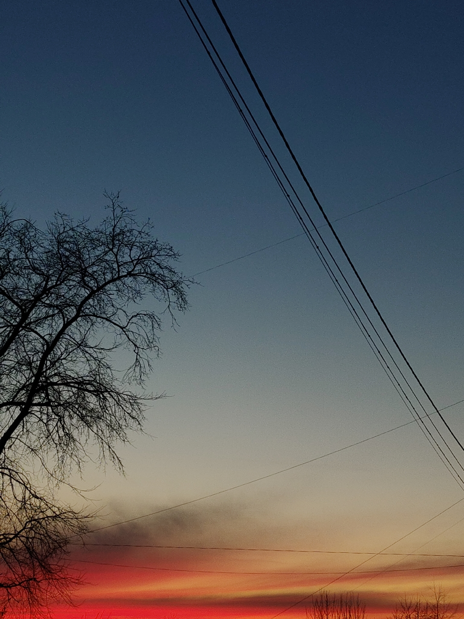 The image depicts a sky gradient transitioning from deep blue at the top to a vivid red-orange at the bottom, likely at sunset. A bare tree silhouette is visible on the left side of the image. Three power lines run diagonally from the upper right to the lower right. The location is unknown.