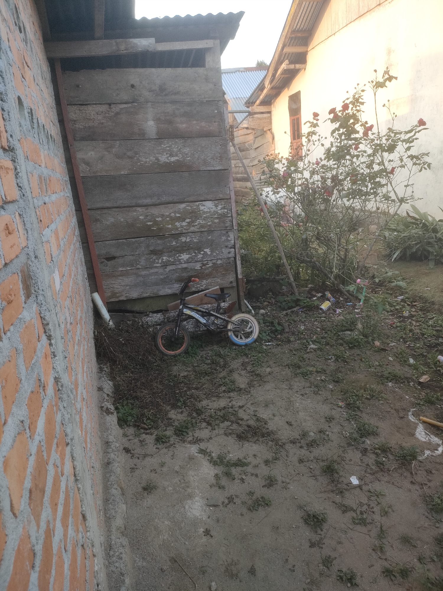 The image shows an outdoor scene in the city of Padang Dalom, Indonesia. In the foreground, a brick wall is under construction on the left side of the frame. Adjacent to the wall is a rustic wooden structure, possibly an outhouse or storage shed, with weathered planks. A small bicycle with orange and blue wheels rests on the ground in front of the wooden structure. To the right of the structure, a rose bush with red flowers is in bloom next to a white building. The ground is covered with dirt, patches of grass, and scattered debris, including some empty cans and plastic wrappers. The overall environment suggests a residential or rural area.