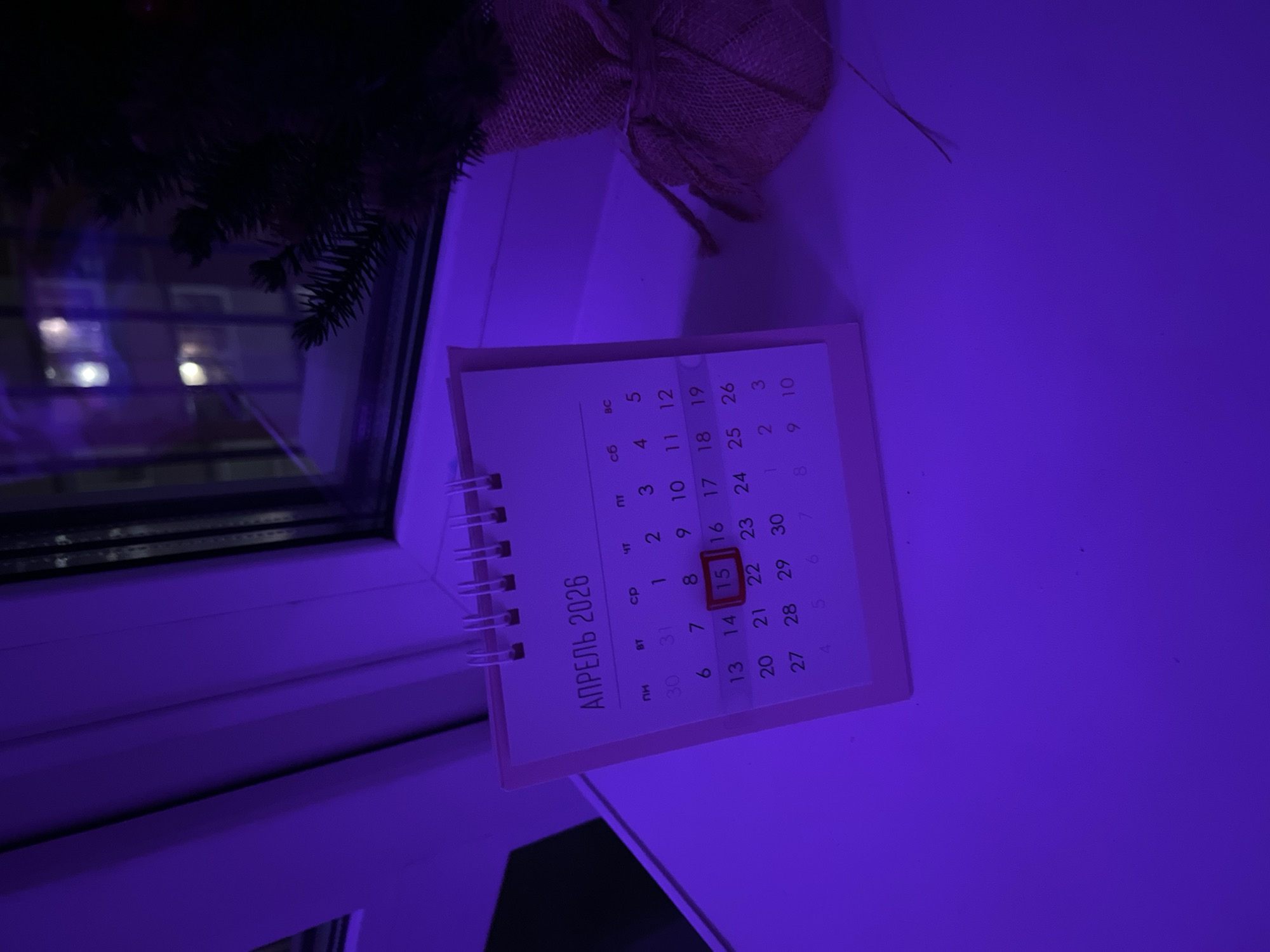 The image depicts a calendar on a window sill, illuminated by purple light. The calendar is turned to the month of April 2026, with the 15th day highlighted in red. A Christmas tree branch and a burlap sack are positioned behind the calendar. The scene is bathed in a uniform purple hue, which obscures further details about the environment. The lack of specific visual cues prevents definitive location in Chaikovsky, Russia.